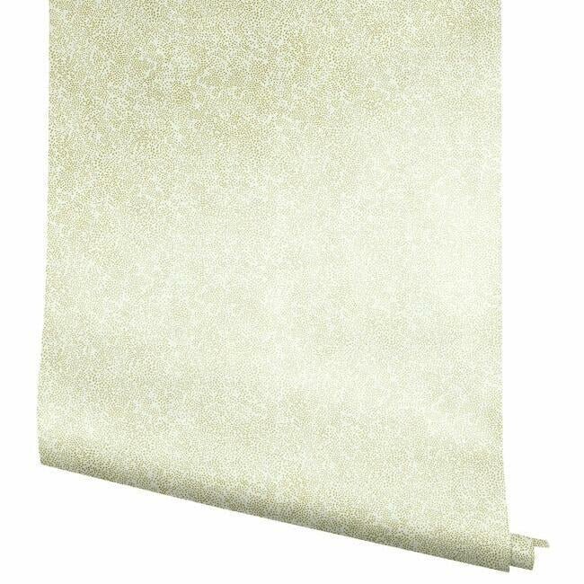 RI5112 CHAMPAGNE DOTS WALLPAPER