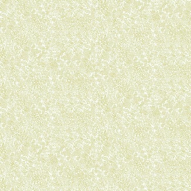 RI5112 CHAMPAGNE DOTS WALLPAPER