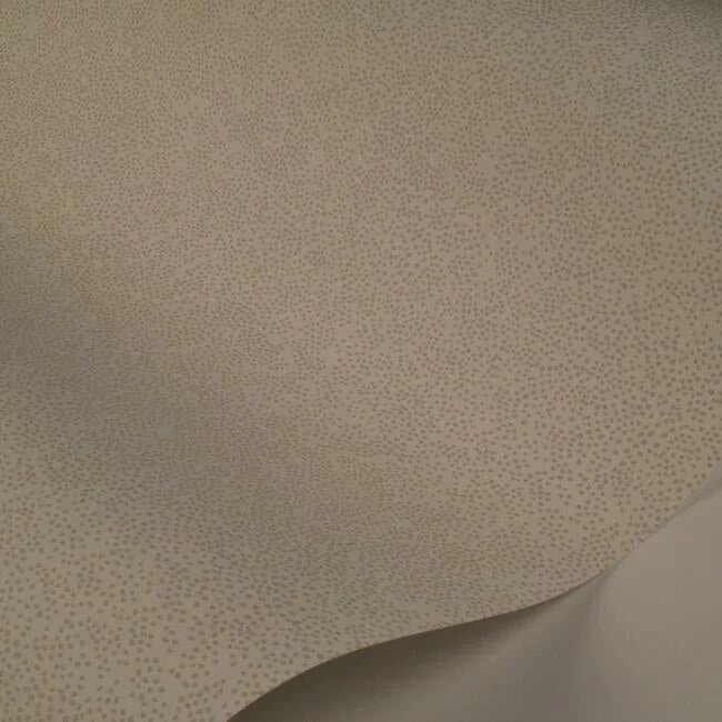 RI5115 CHAMPAGNE DOTS WALLPAPER