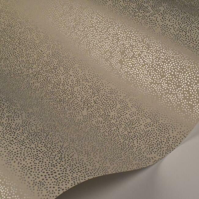 RI5116 CHAMPAGNE DOTS WALLPAPER