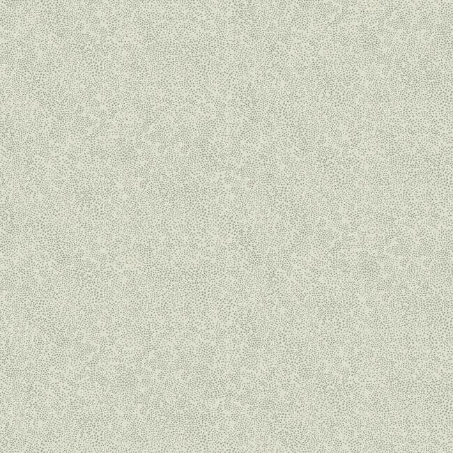RI5116 CHAMPAGNE DOTS WALLPAPER