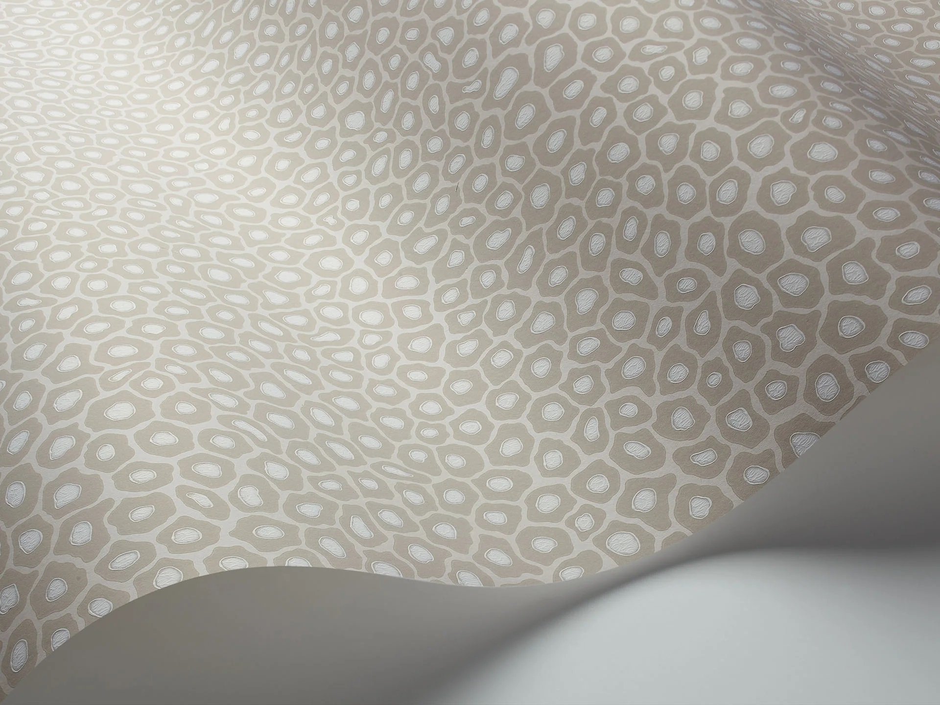 109/6030 SENZO SPOT WALLPAPER