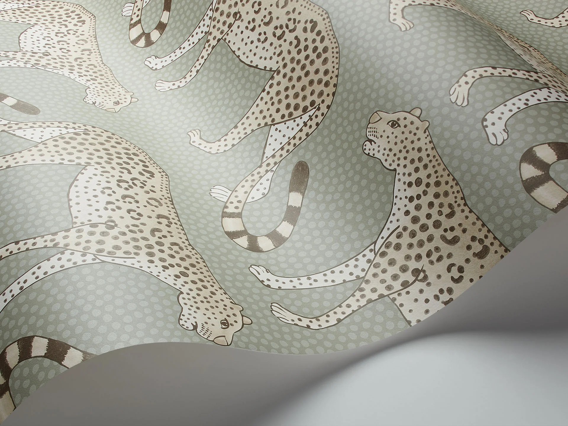109/2009 LEOPARD WALK WALLPAPER