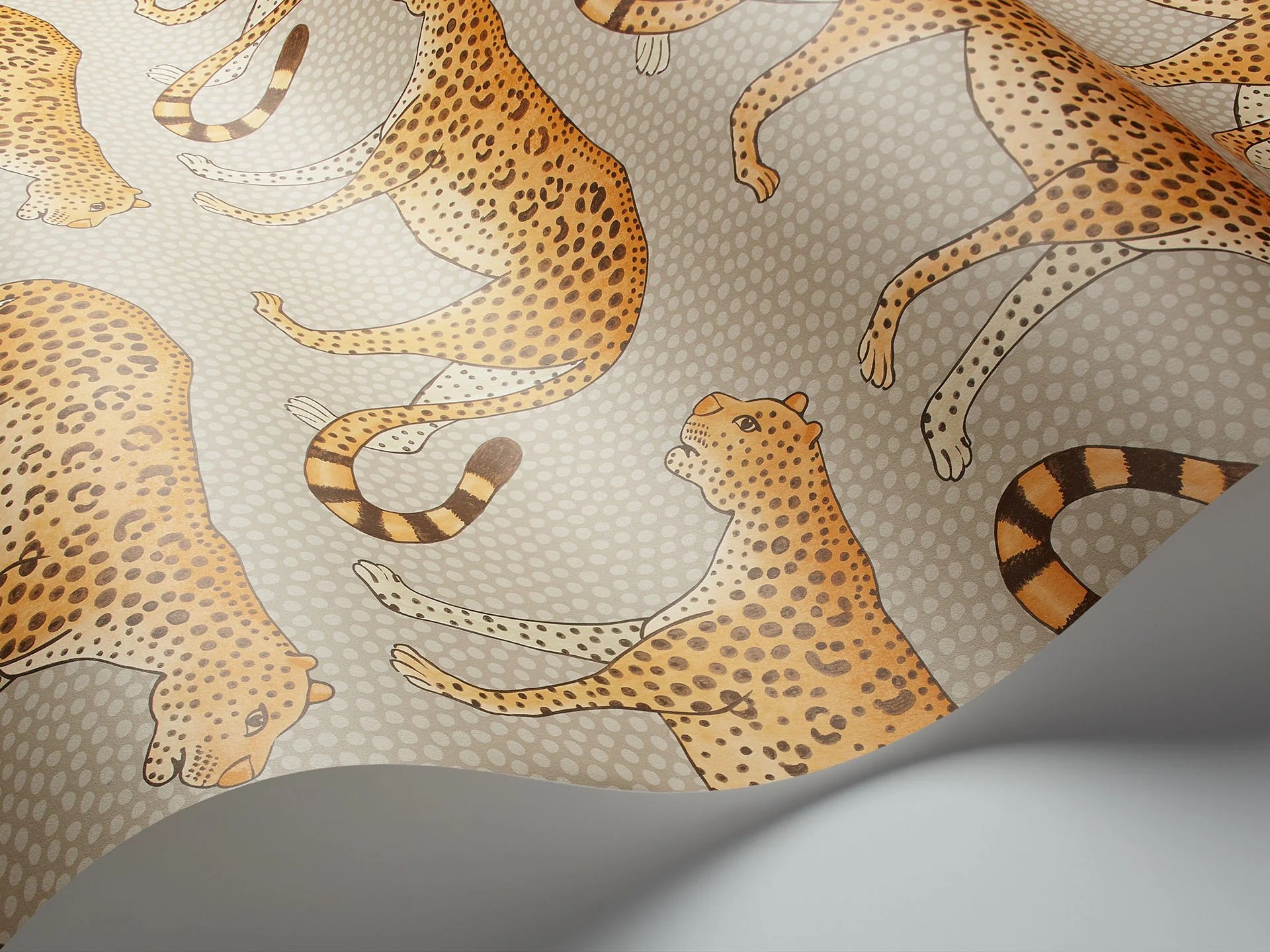 109/2010 LEOPARD WALK WALLPAPER
