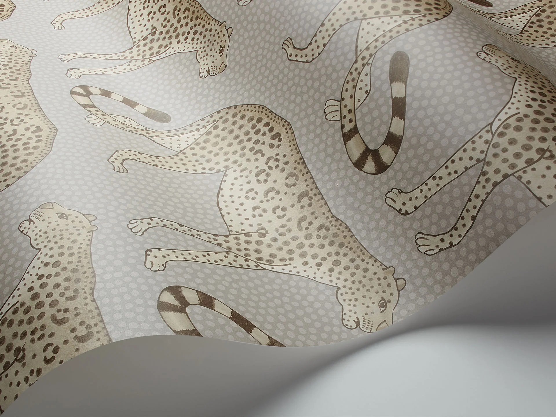 109/2012 LEOPARD WALK WALLPAPER