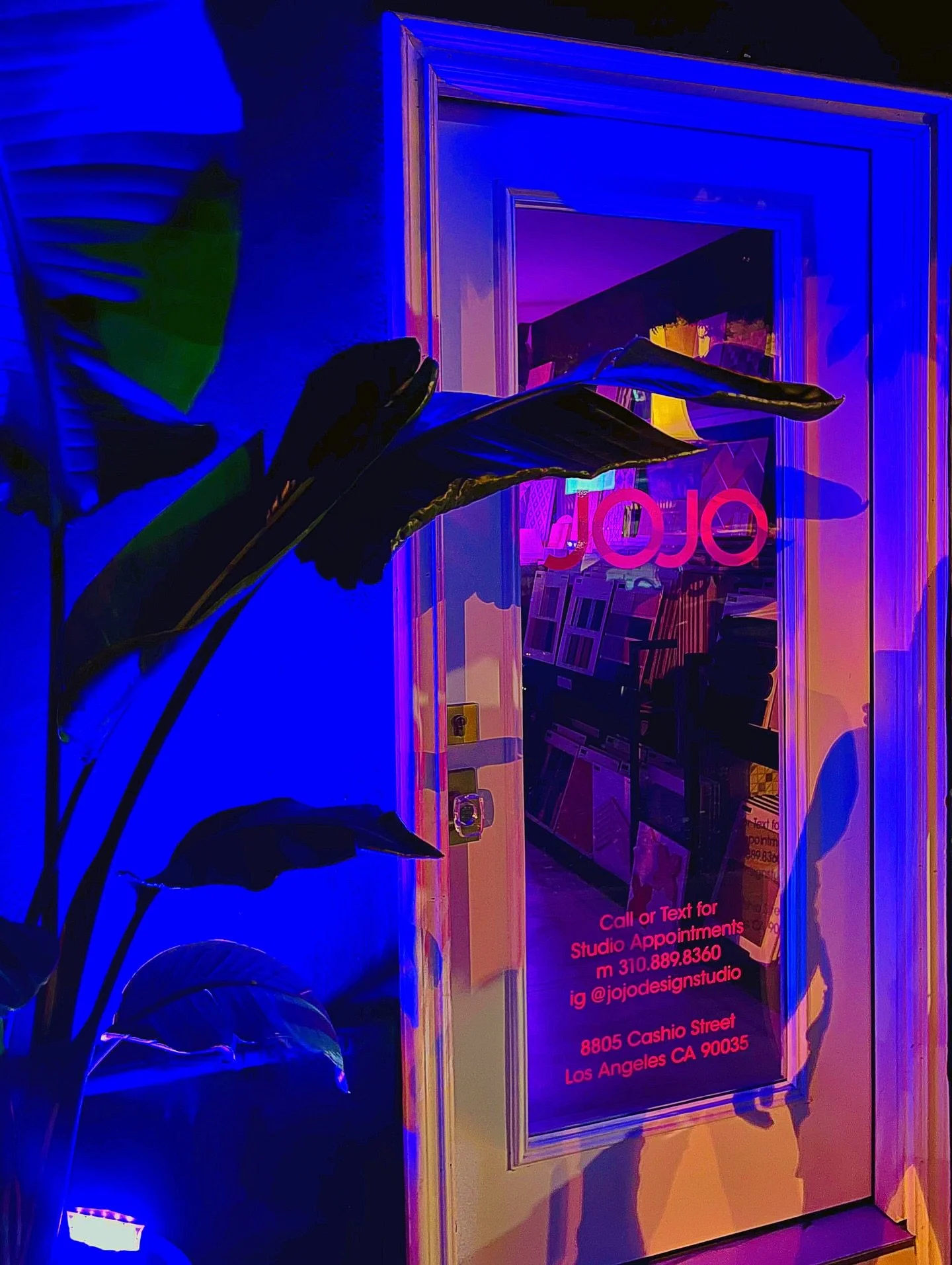 Vibey 💚🪩🌴
DM for studio Appointments 📍
#jojodesignstudio 
#coolcoverings 
#design