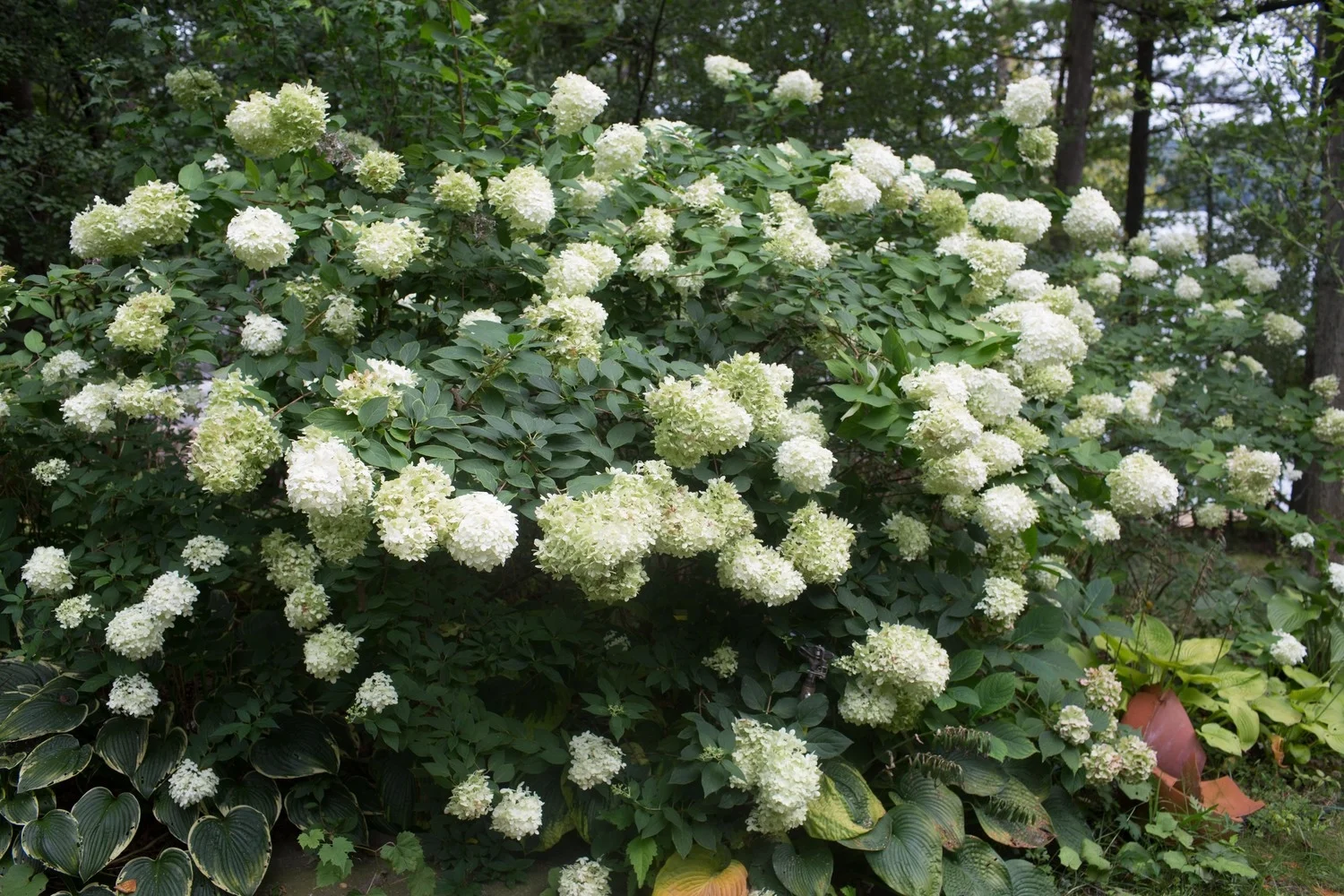 20130903_15_24_34.jpg