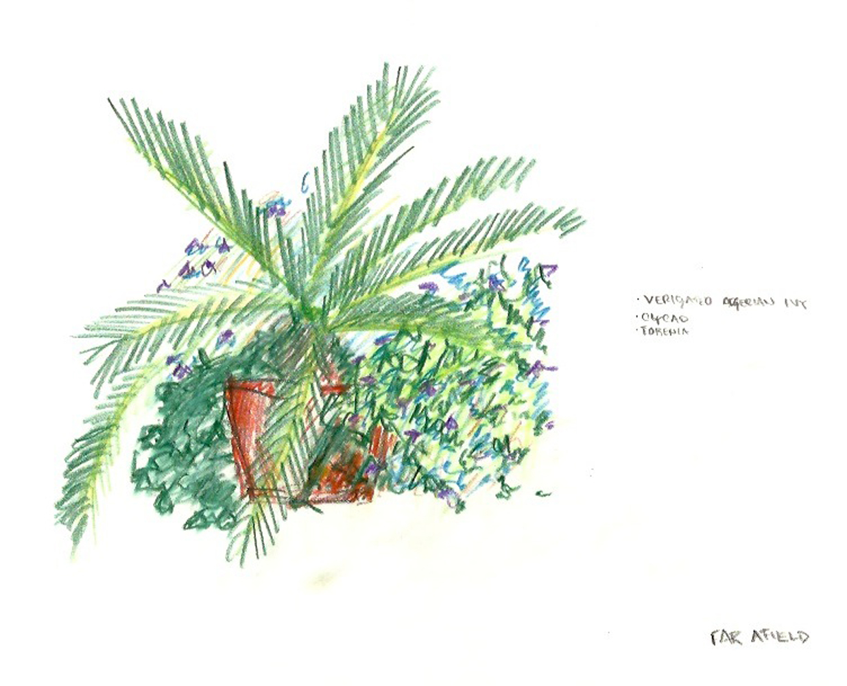 22_Sketch Cycad Pot.jpg