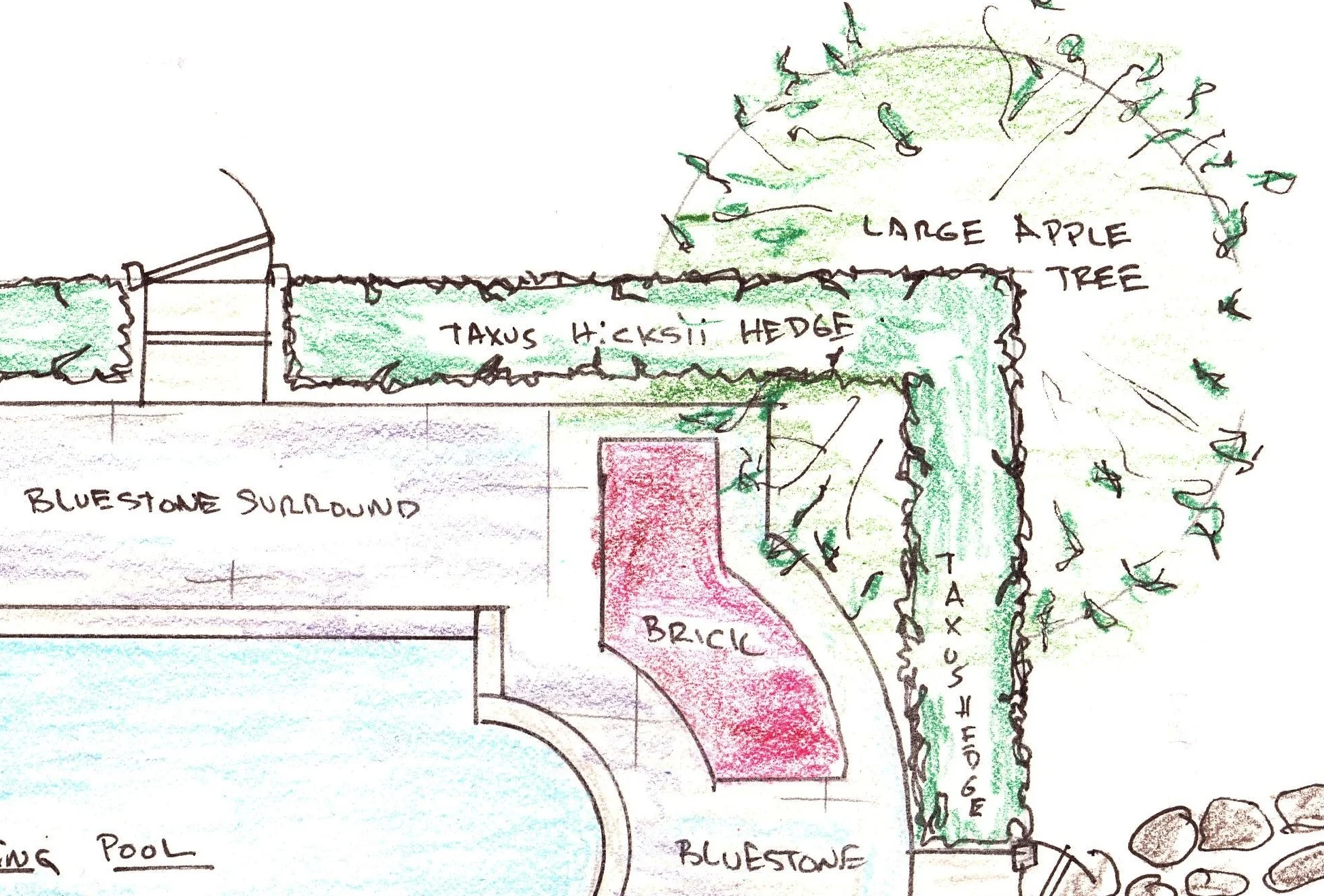 Large Apple Tree Blowout.jpg