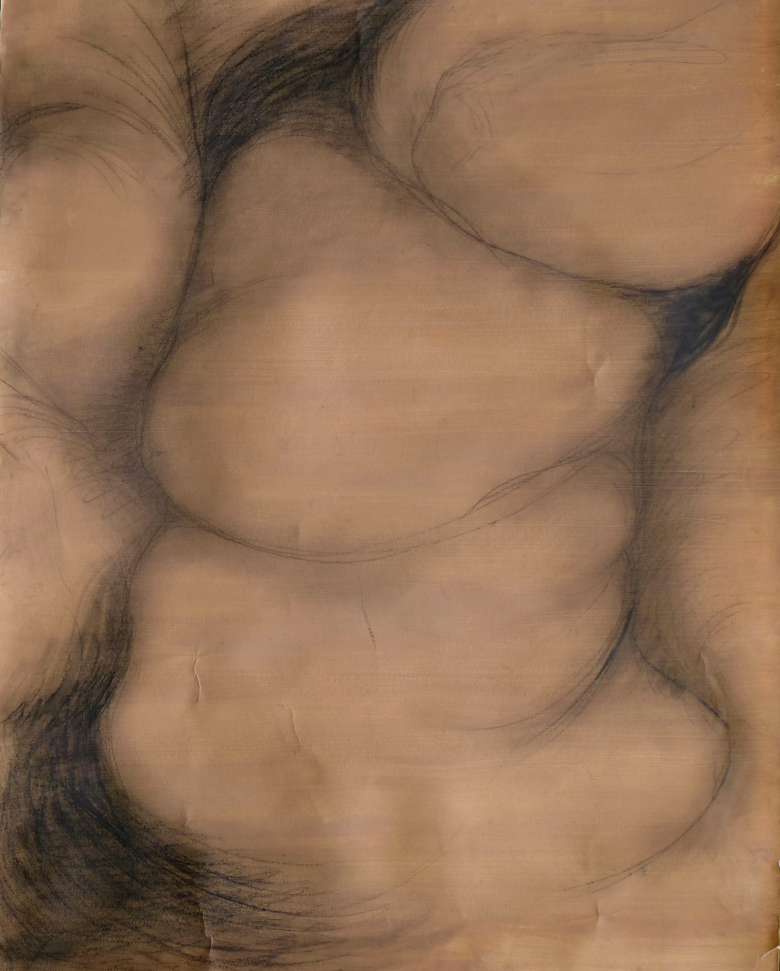 Untitled, 2013, graphite on gessoed paper, 42" X 56".