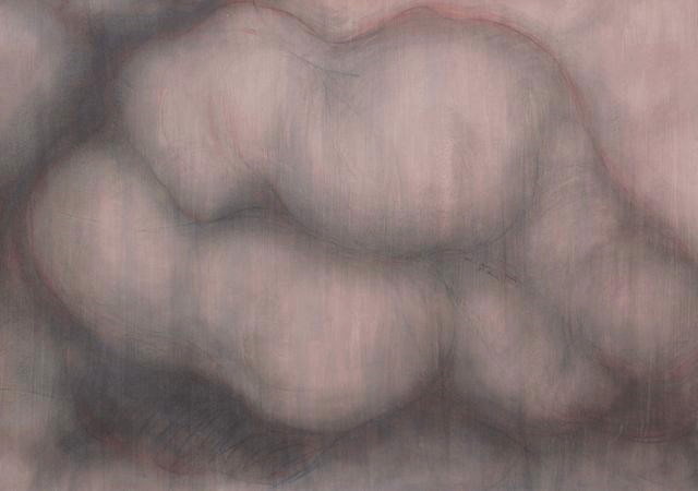 Pink #2 , Graphite and sanguine on gessoed paper, 42" X 58", 2014