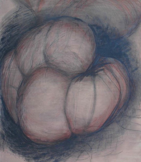 Pink #5 , Graphite and sanguine on gessoed paper, 42" X 55", 2013