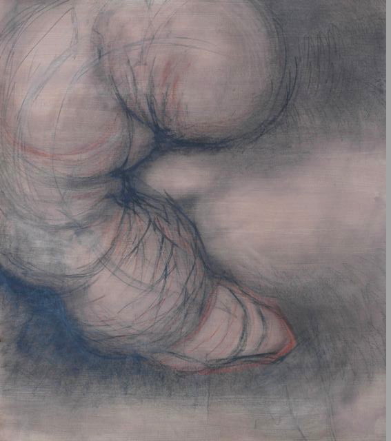 Pink #8 , Graphite and sanguine on gessoed paper, 42" X 55", 2013