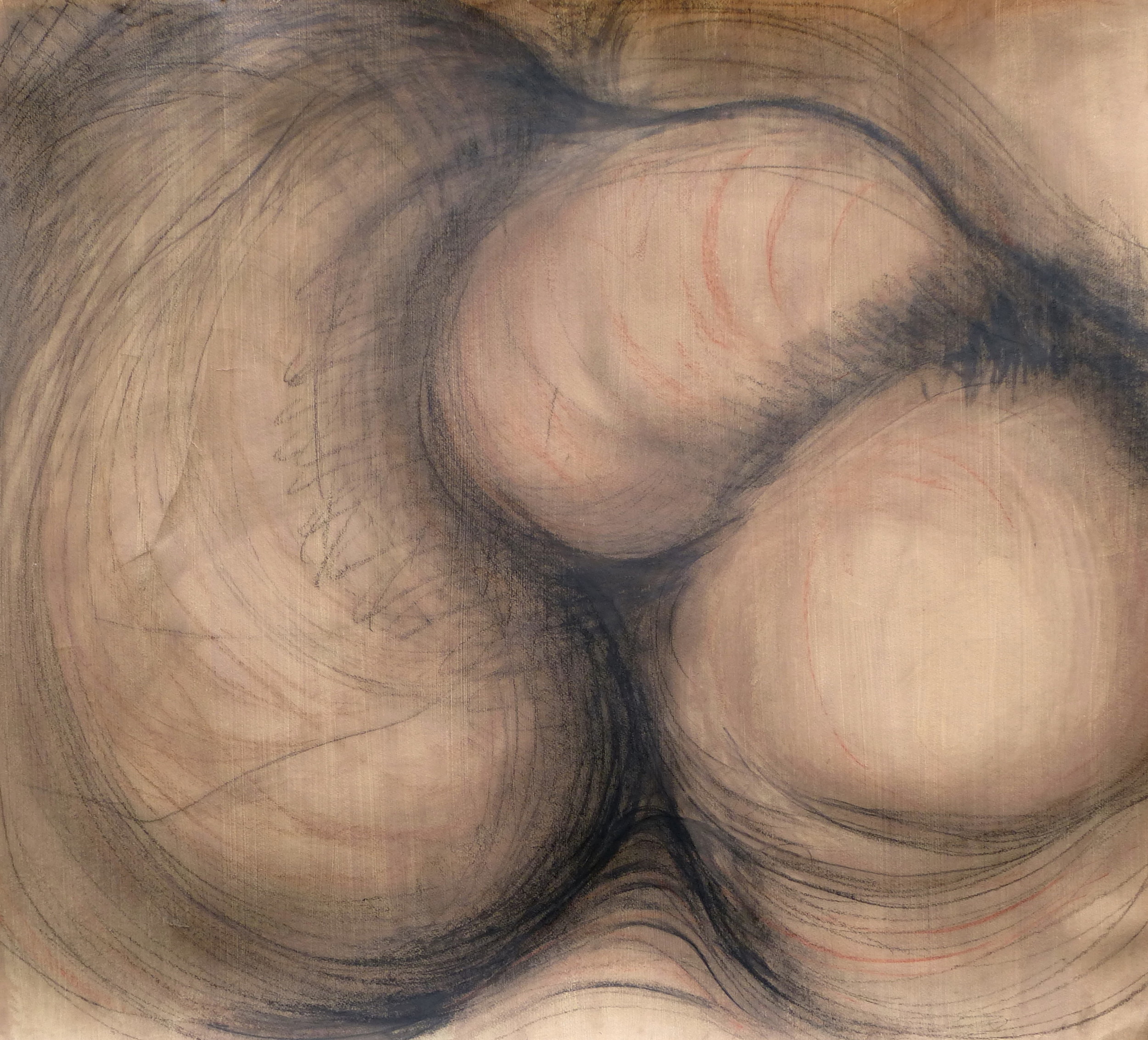 Pink #6 , Graphite and sanguine on gessoed paper, 42" X 56", 2014