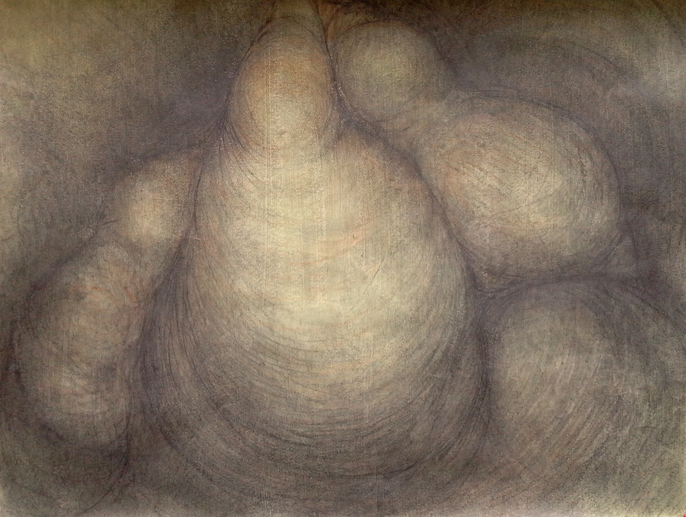 Green #3 , Graphite and sanguine on gessoed paper, 42" X 58", 2014
