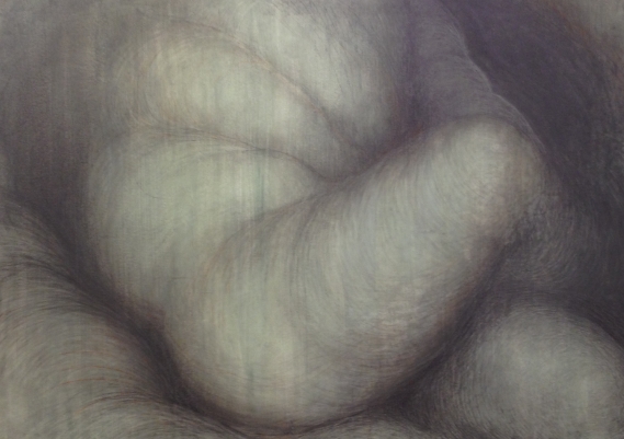 Green flesh #5, graphite on Gessoed paper.
