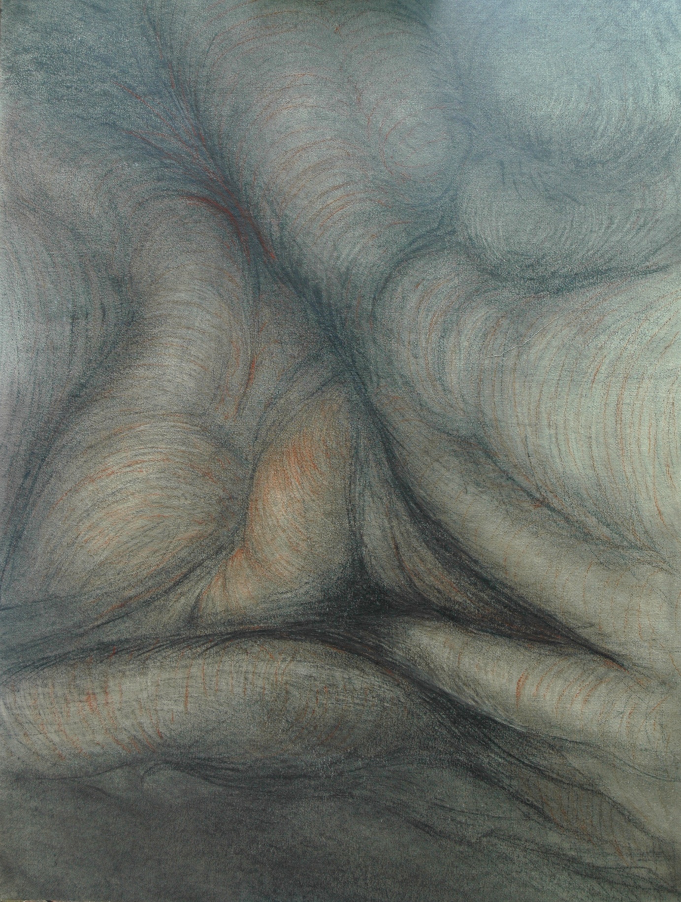 Scottish tree #2 , Graphite and sanguine on gessoed paper, 42" X 58", 2014