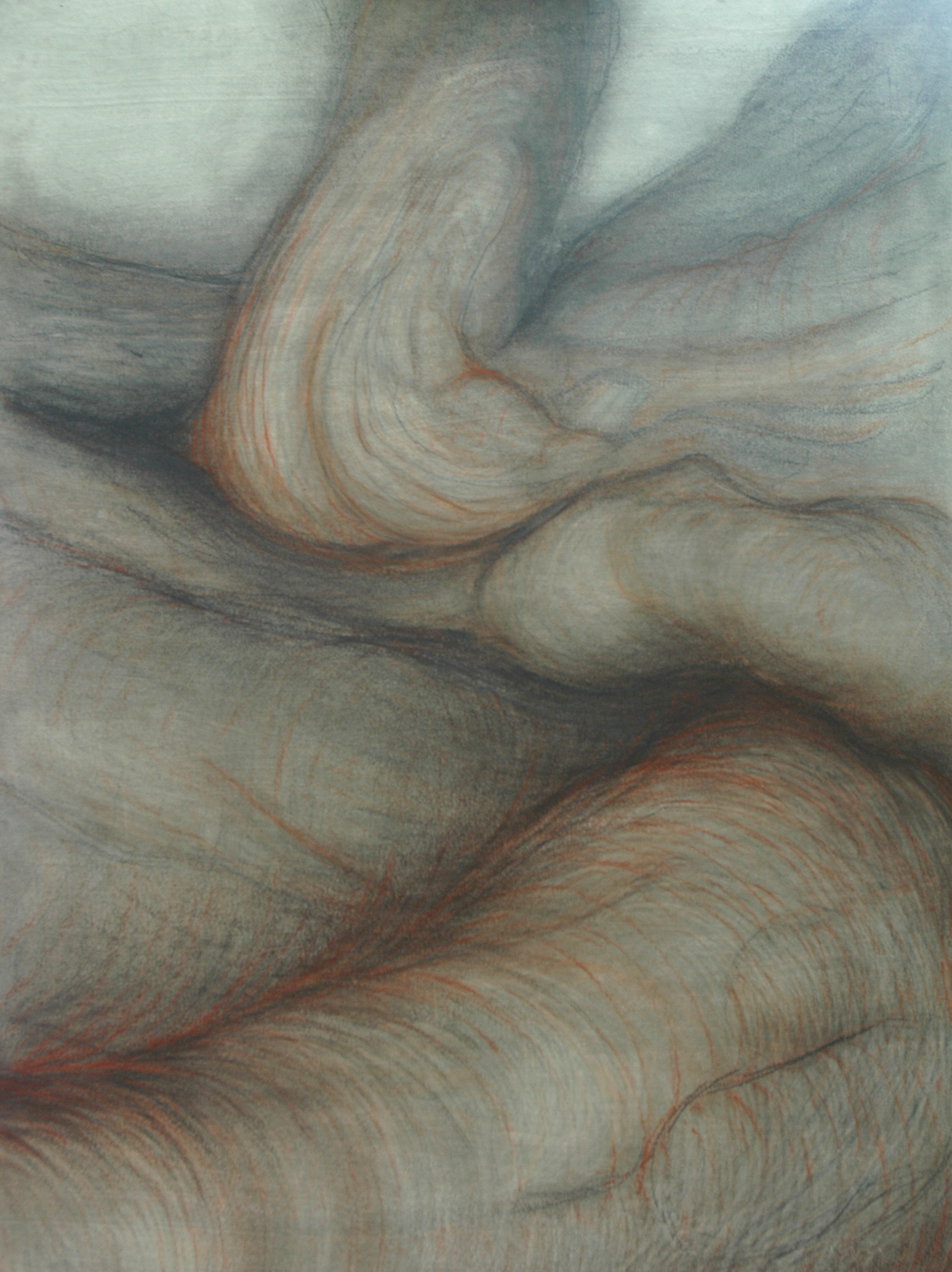 Scottish tree #2 , Graphite and sanguine on gessoed paper, 42" X 58", 2014
