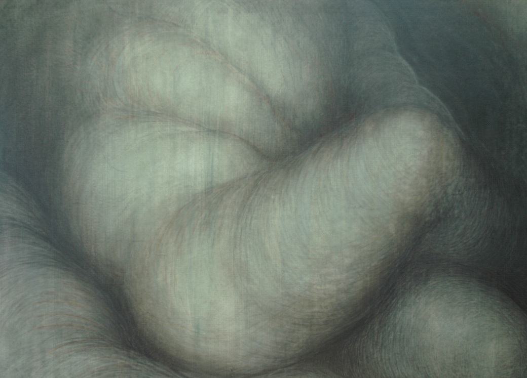 Green flesh #3 , Graphite and sanguine on gessoed paper, 42" X 58", 2015