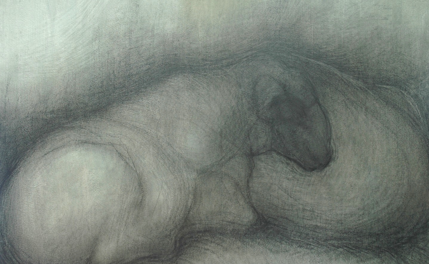 Green sheep #2 , Graphite and sanguine on gessoed paper, 42" X 58", 2014