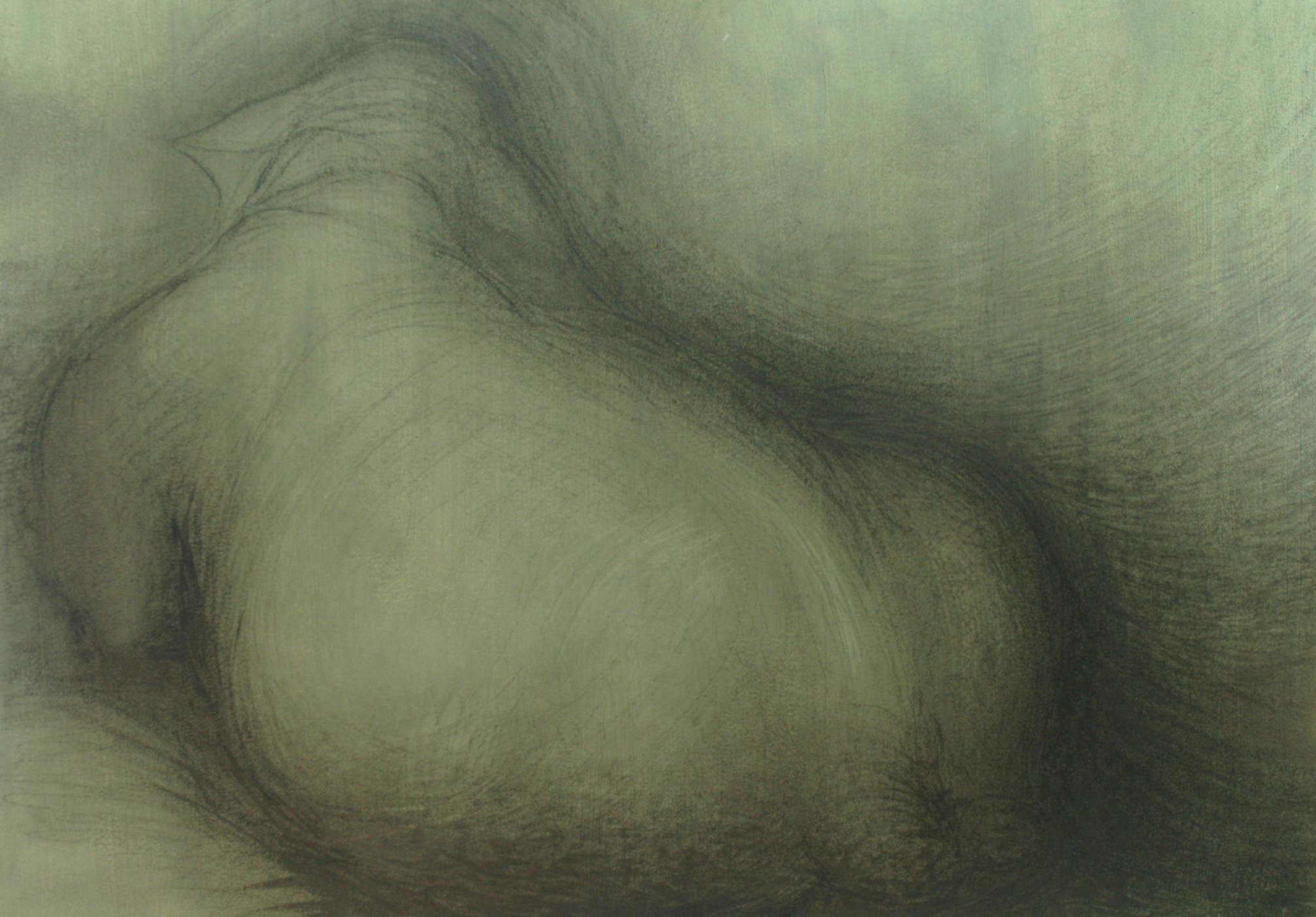 Green sheep #3 , Graphite and sanguine on gessoed paper, 42" X 58", 2014