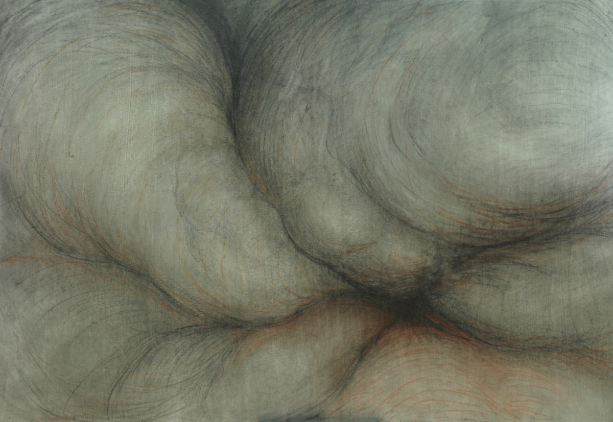Green #2, Graphite and sanguine on gessoed paper, 42" X 58", 2014