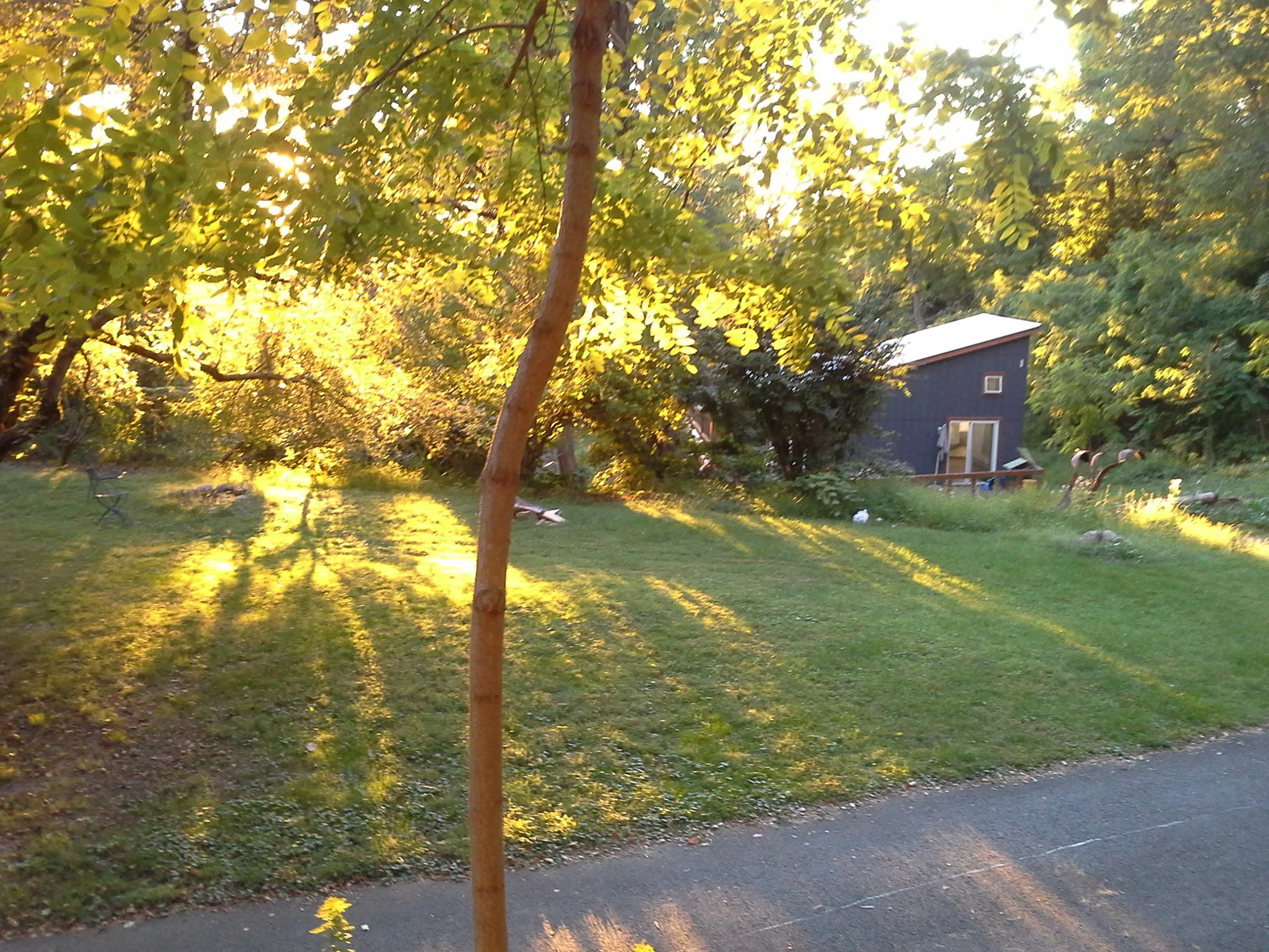 Our studio in the distance.