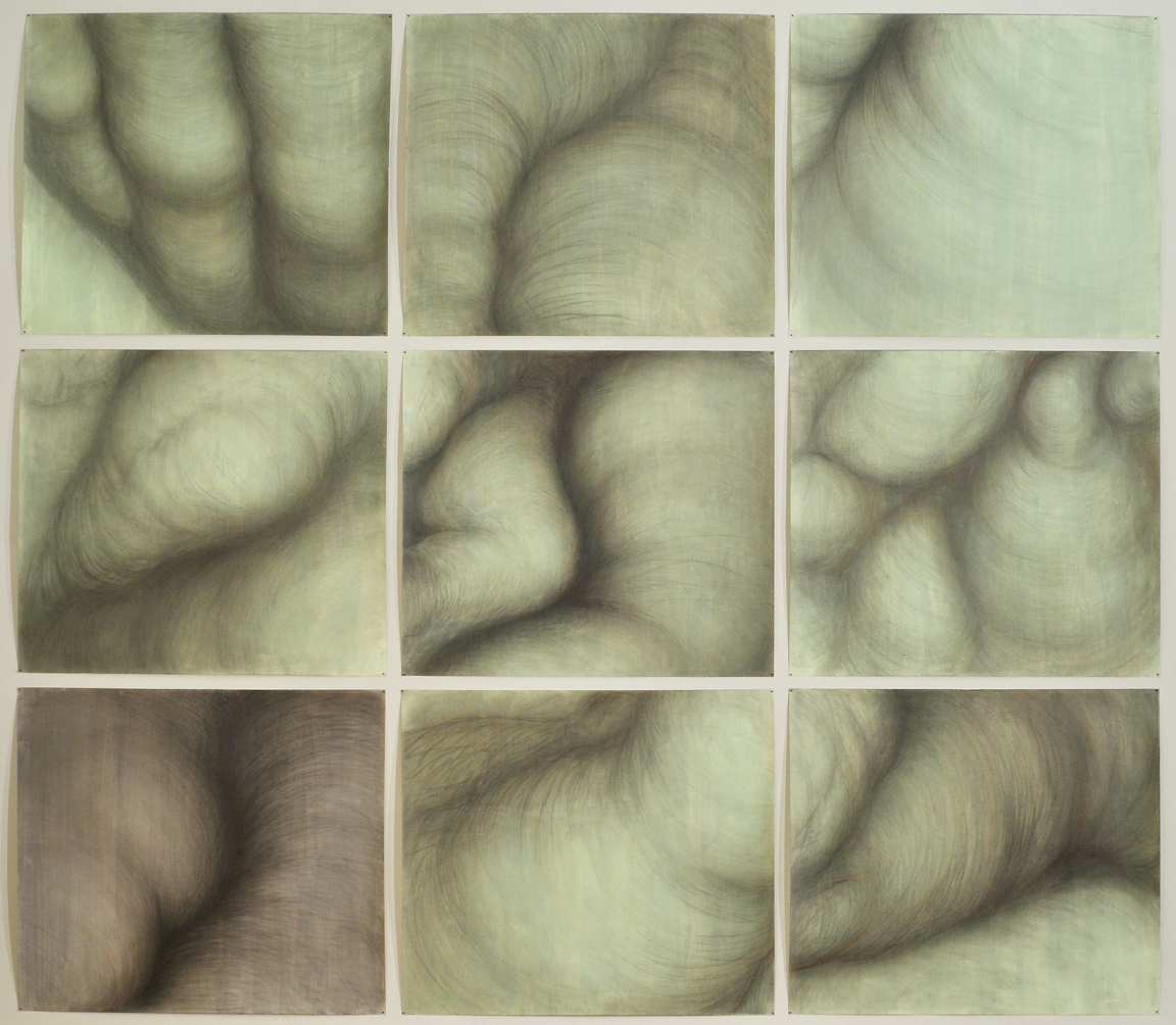 Tree forms , Graphite and sanguine on gessoed paper, 130" X 148", 2015