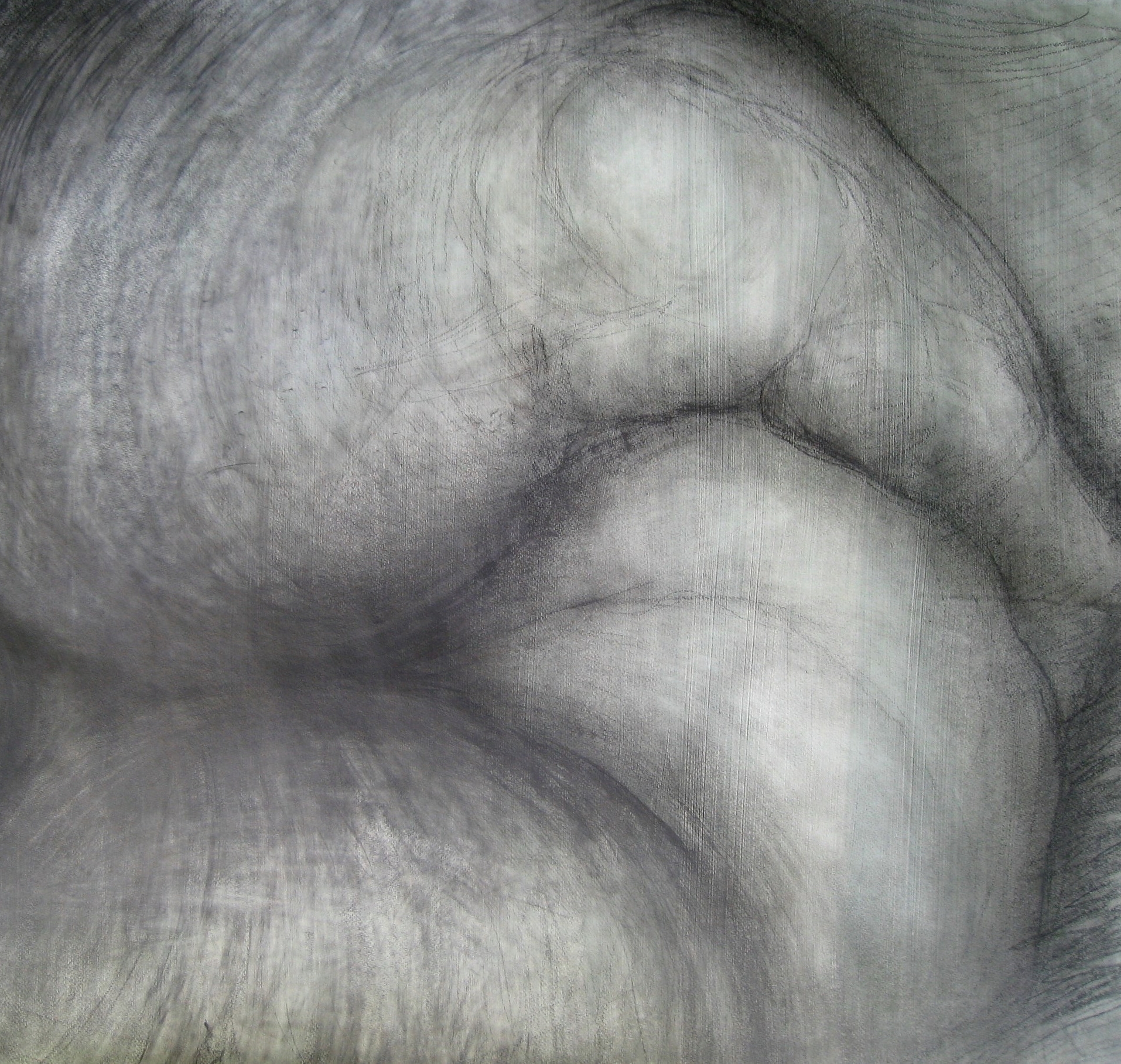 Green #3, Graphite on gessoed paper, 42" X 58", 2014