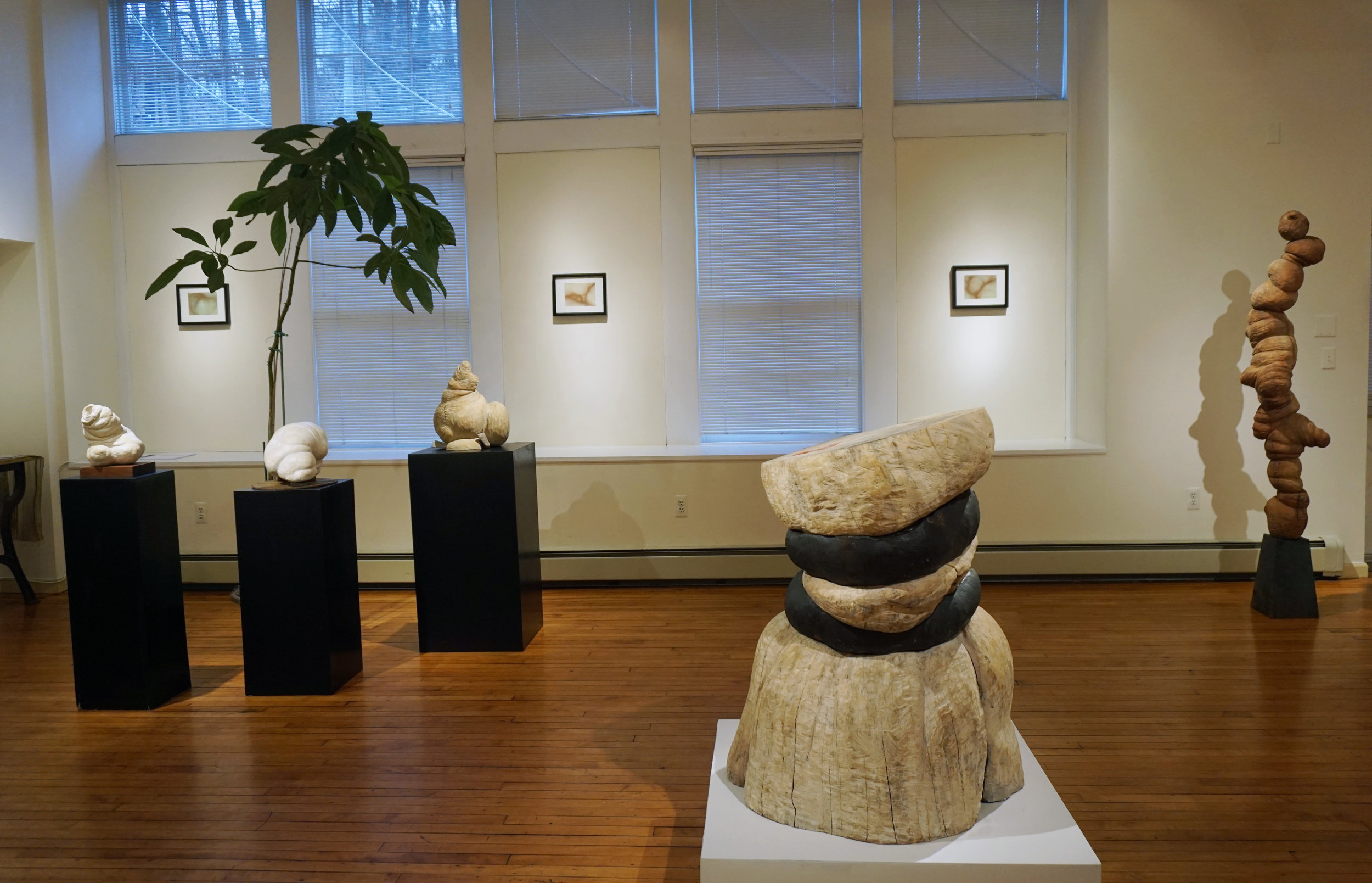 "Aesthesia", sculptures and drawings, Pomona Cultural Center, curated by Tjokorda Gde Arsa Artha, 2017.