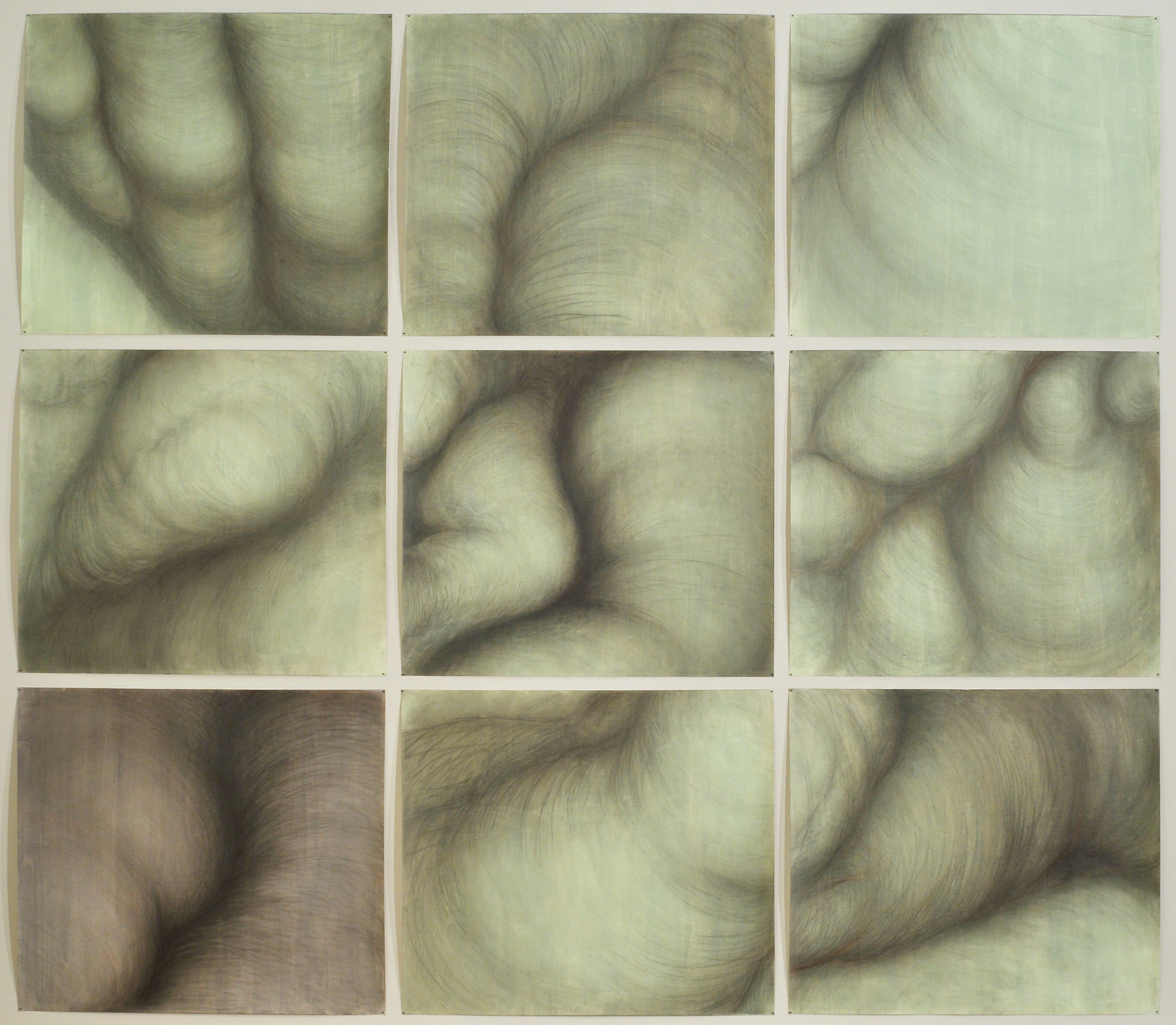 Tree forms , Graphite and sanguine on gessoed paper, 130" X 148", 2015