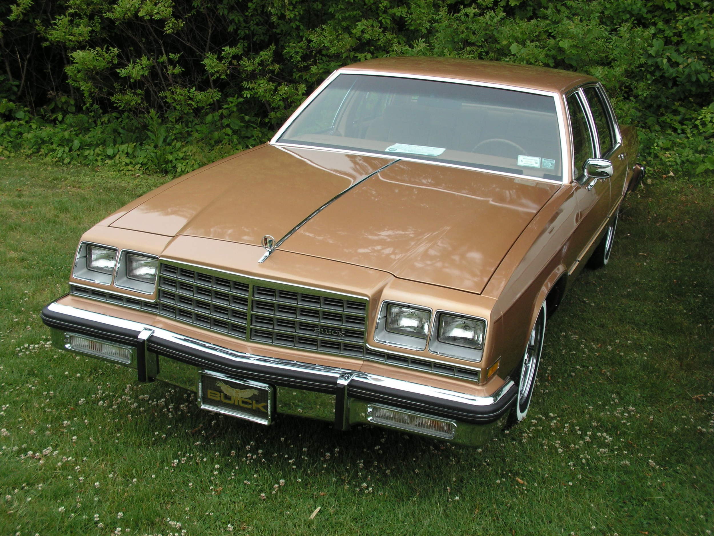 Andy Kollos: 1980 LeSabre Limited Sedan