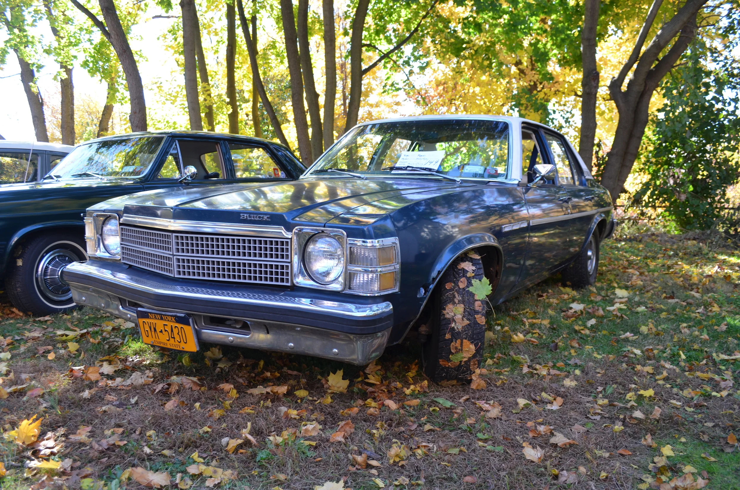 DSC_0454.JPG