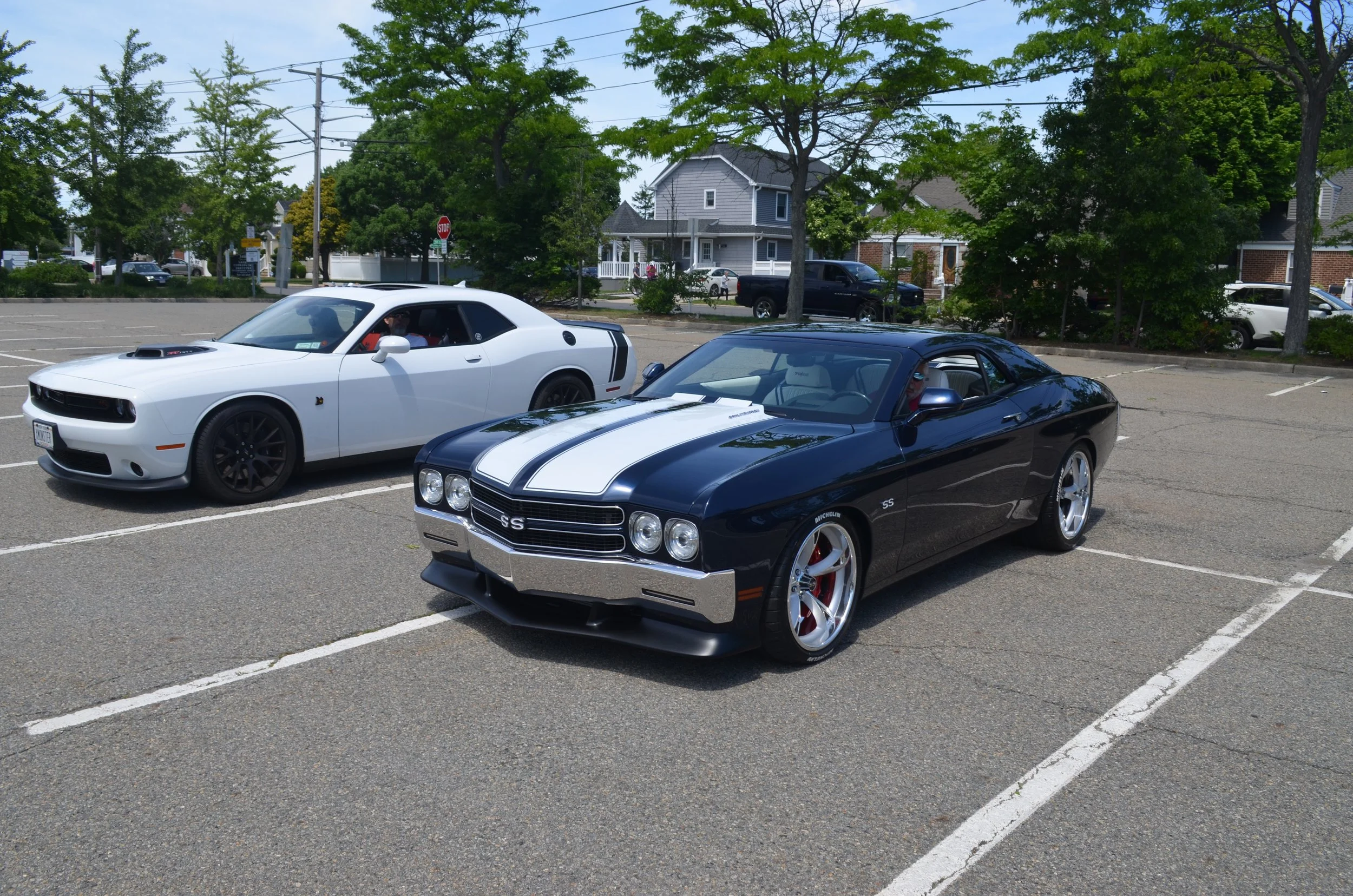 DSC_0300.JPG