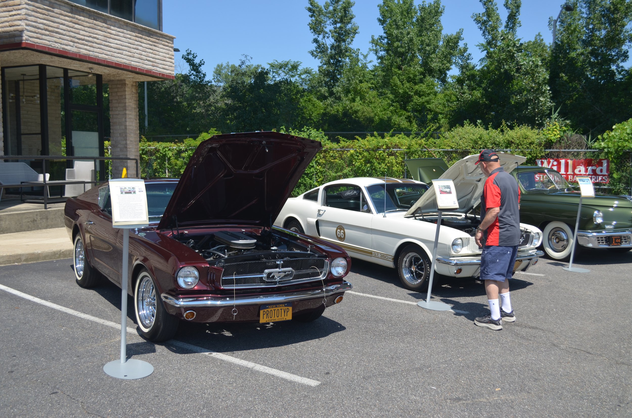 DSC_0420.JPG