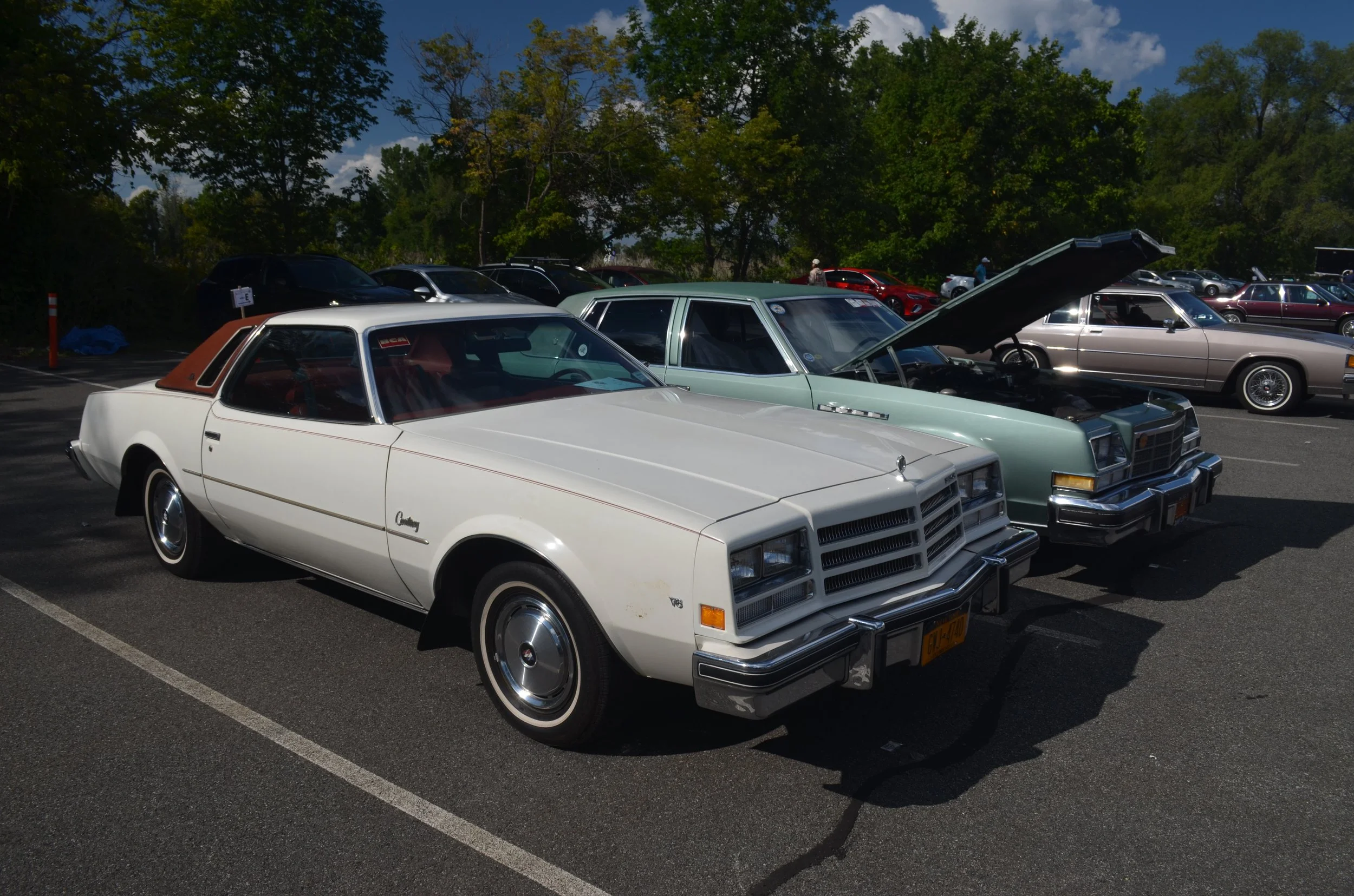 DSC_0153.JPG