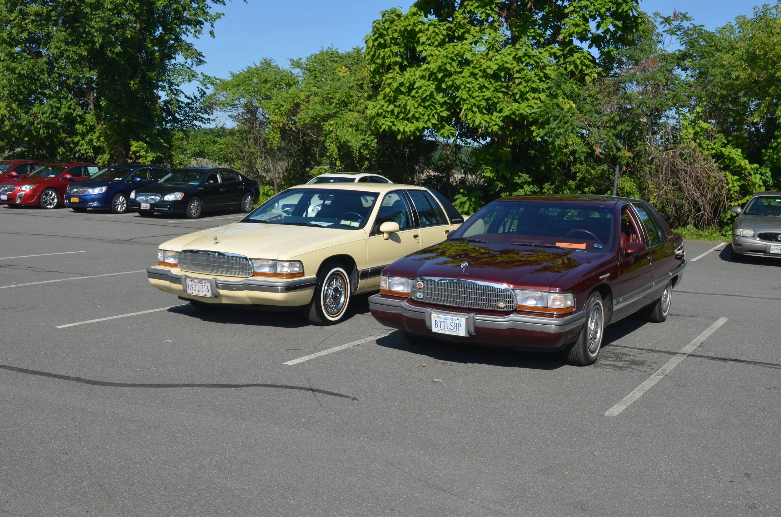 DSC_0858.JPG