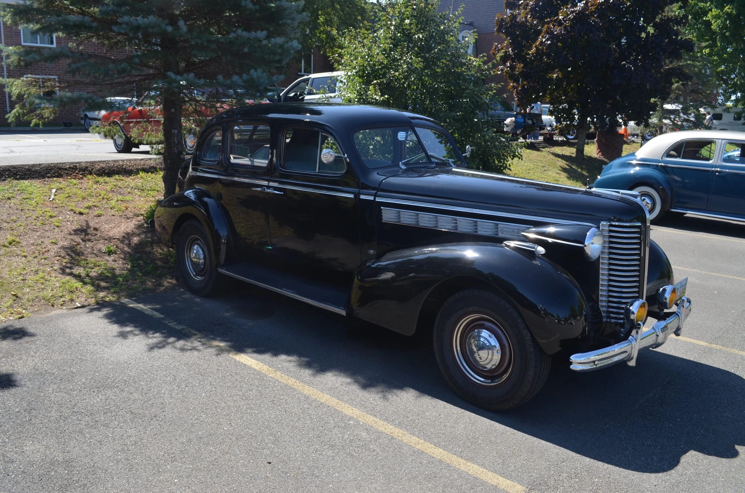 DSC_0872.JPG