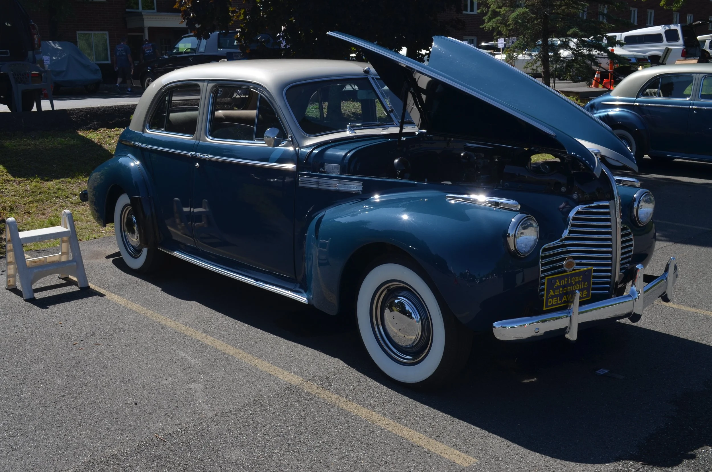 DSC_0874.JPG
