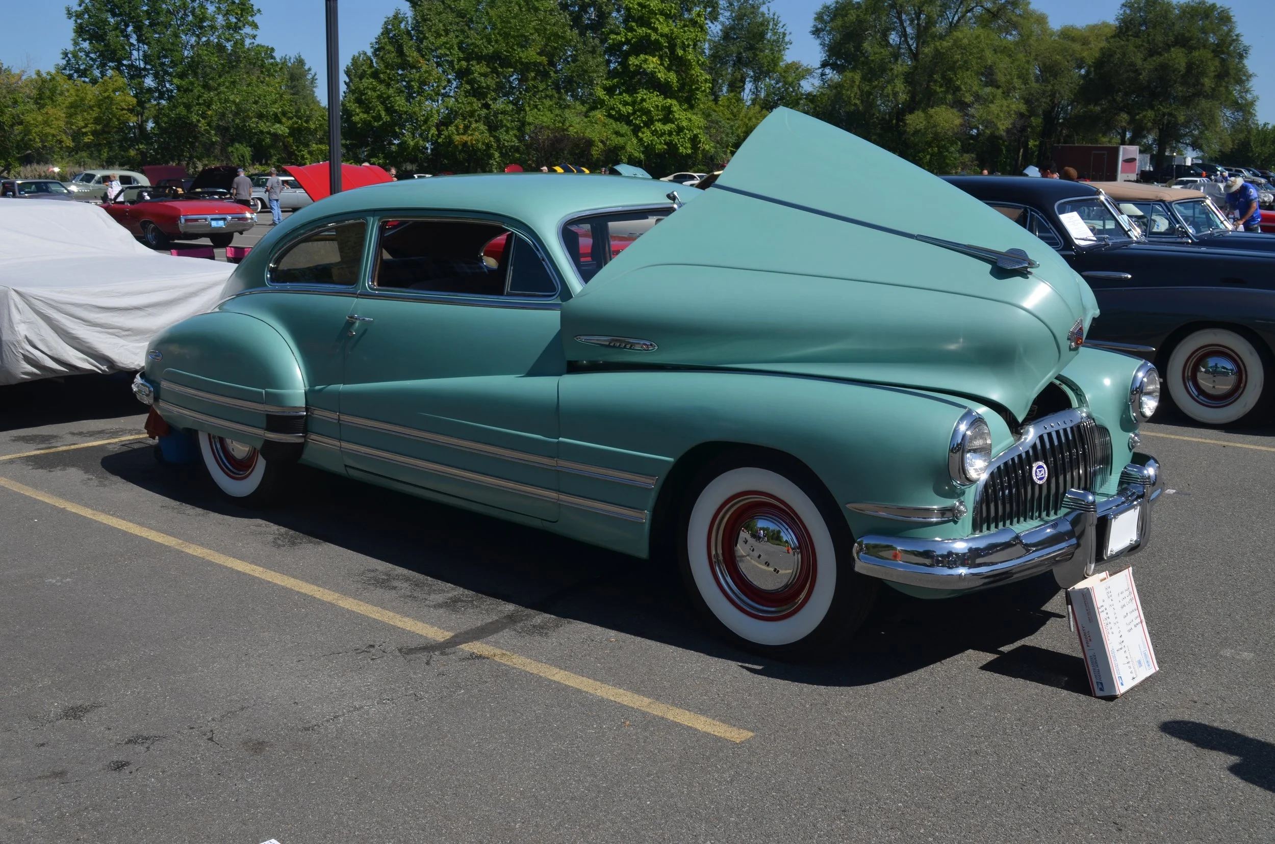 DSC_0876.JPG