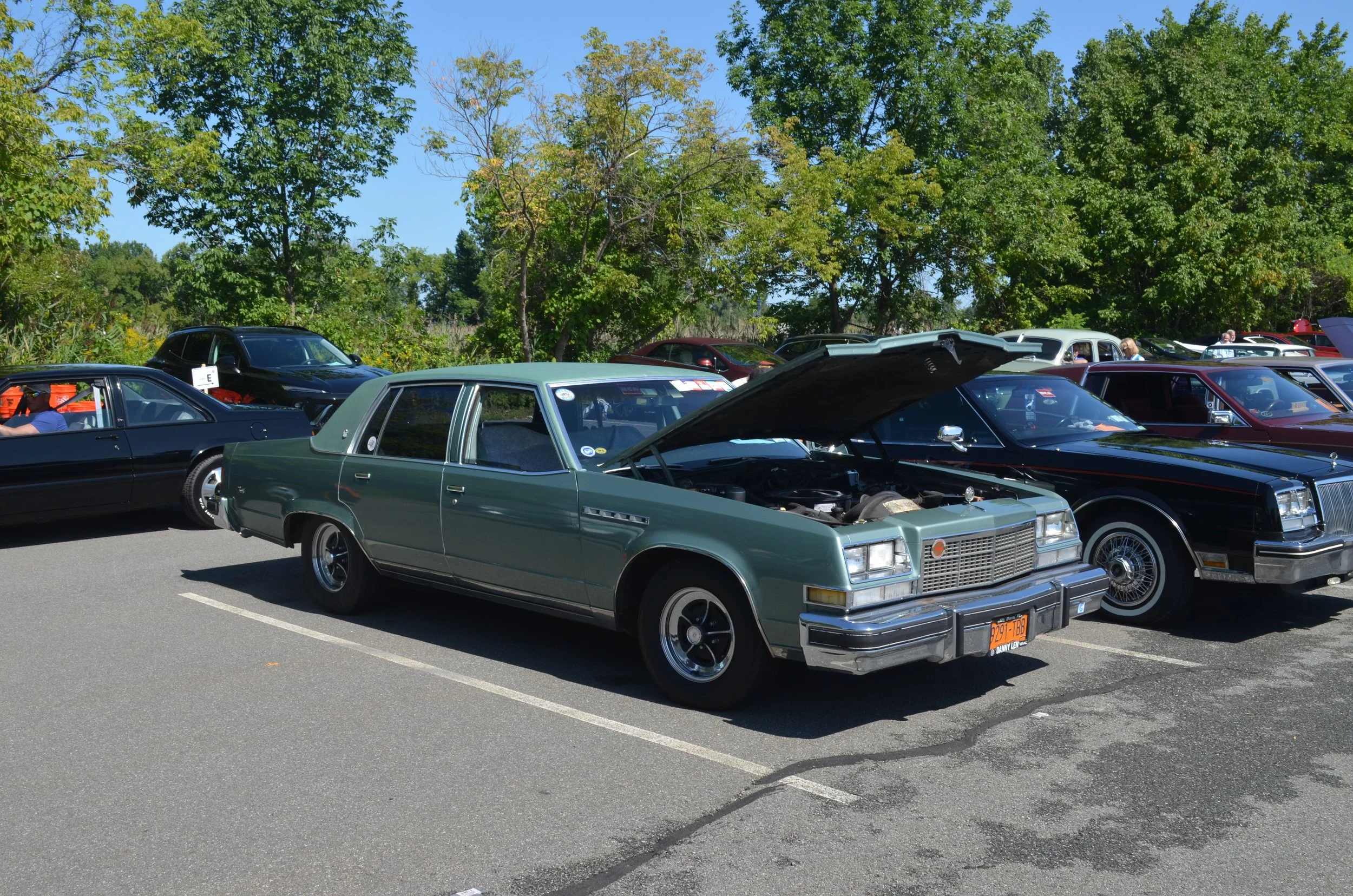 DSC_0882.JPG
