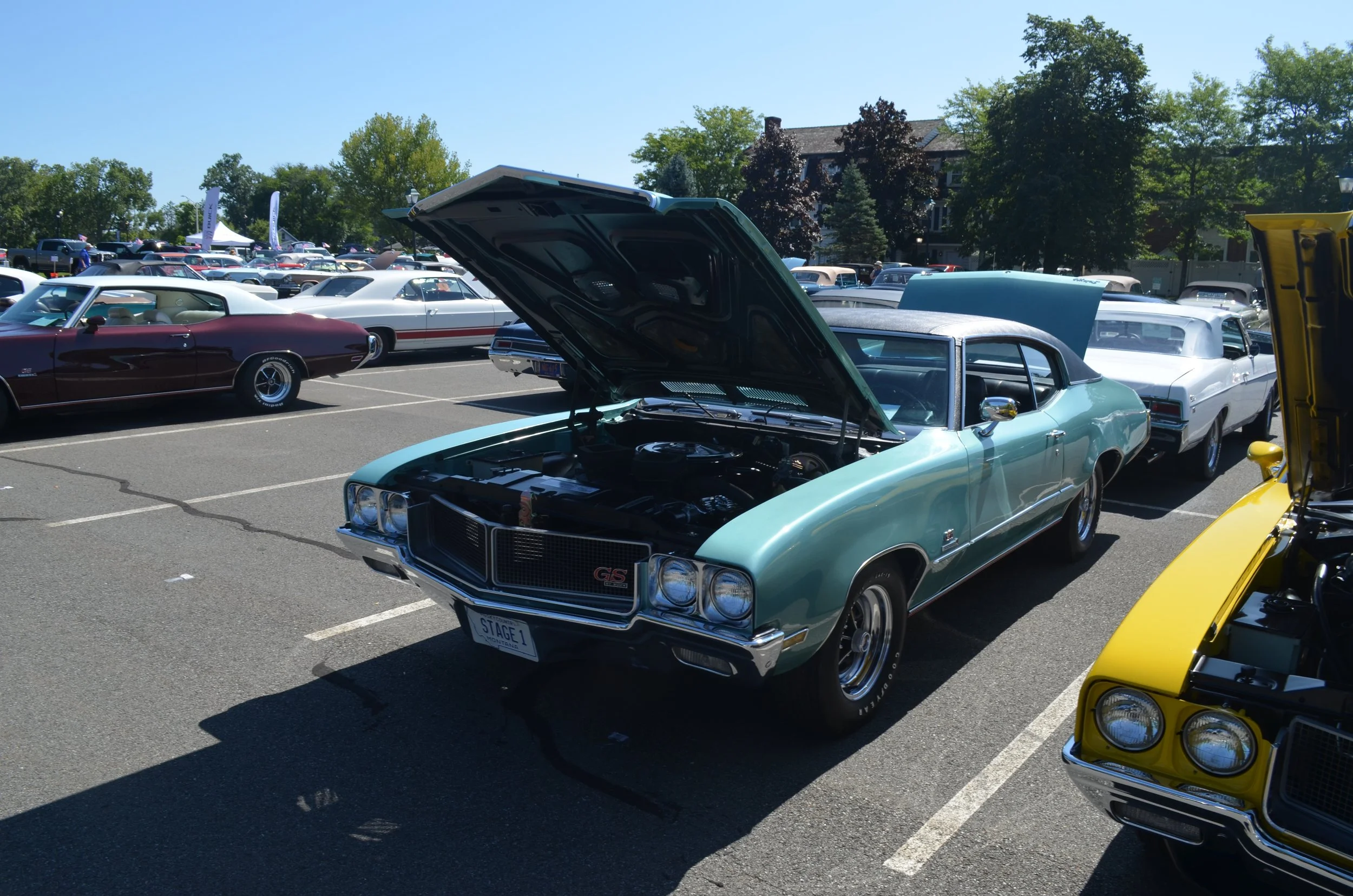 DSC_0888.JPG