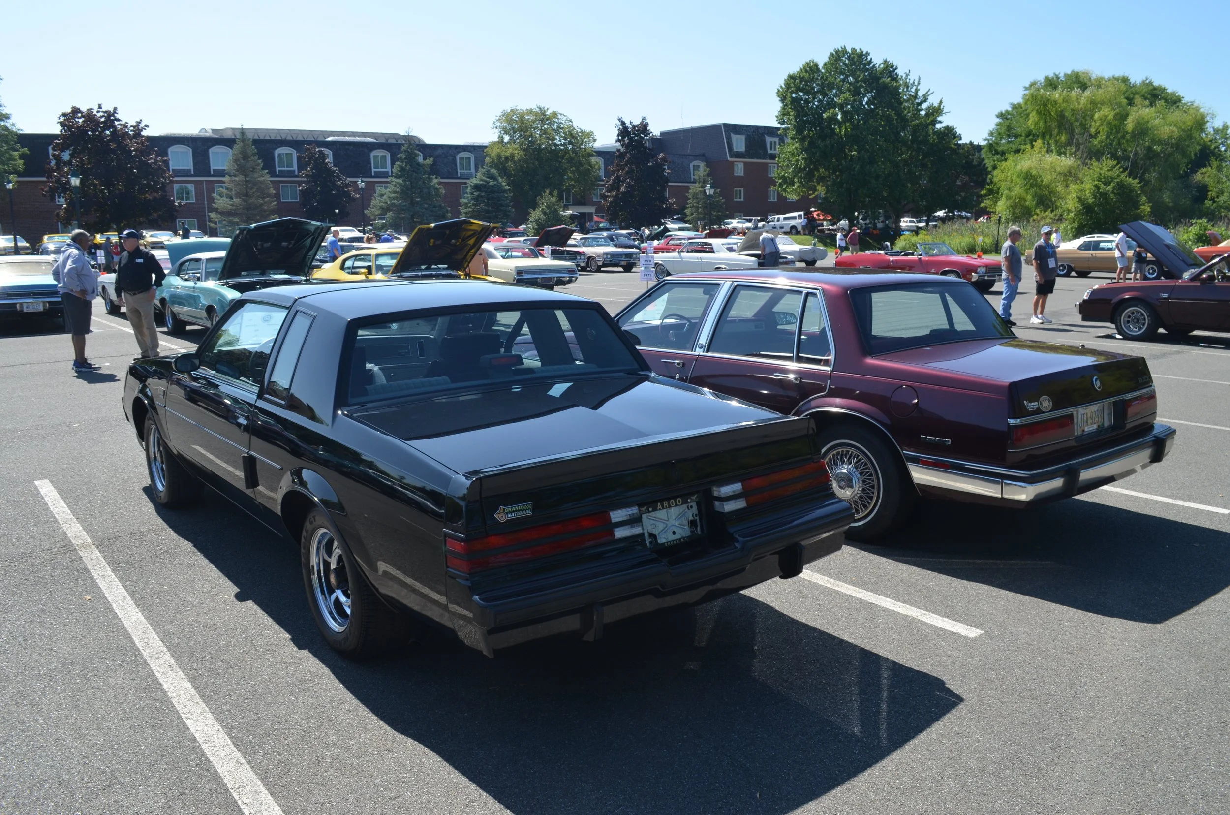 DSC_0894.JPG