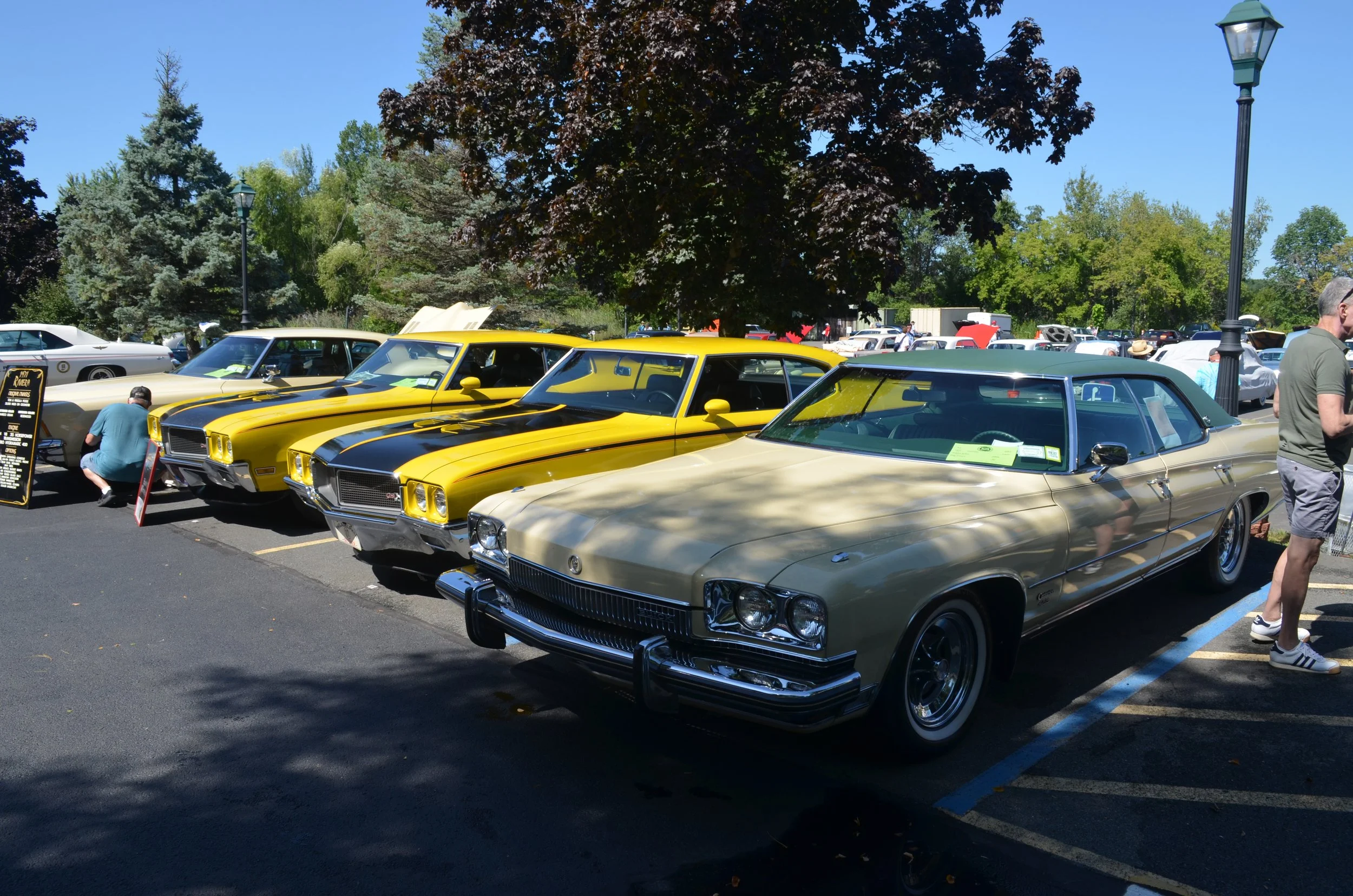 DSC_0905.JPG