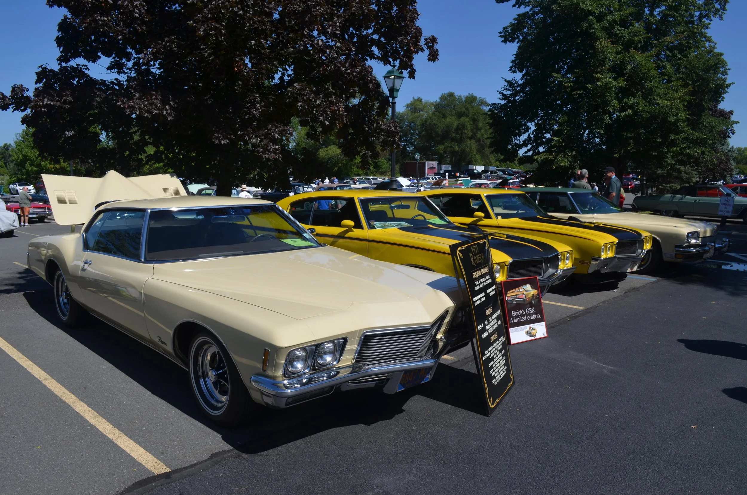 DSC_0911.JPG