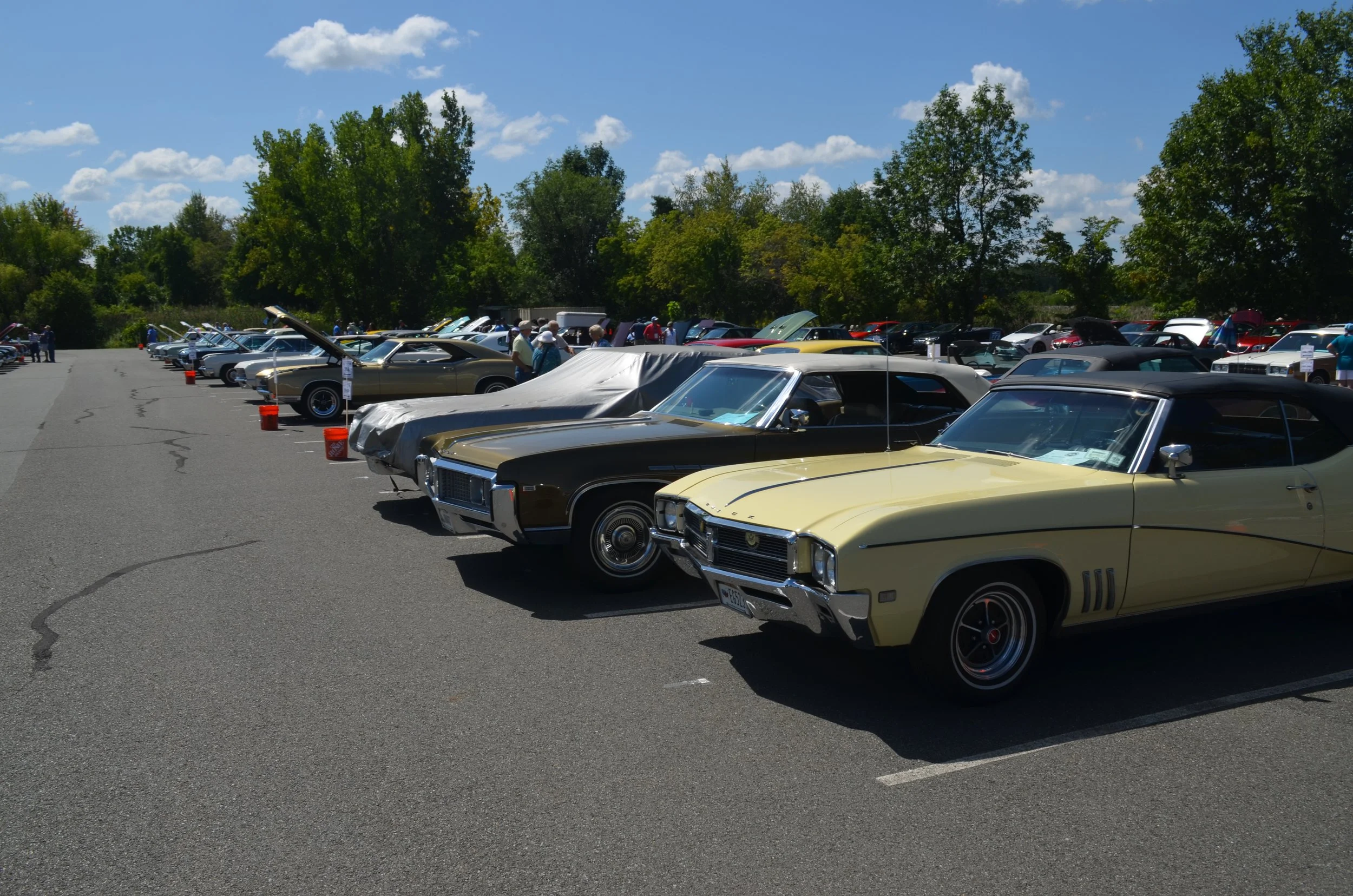 DSC_0951.JPG