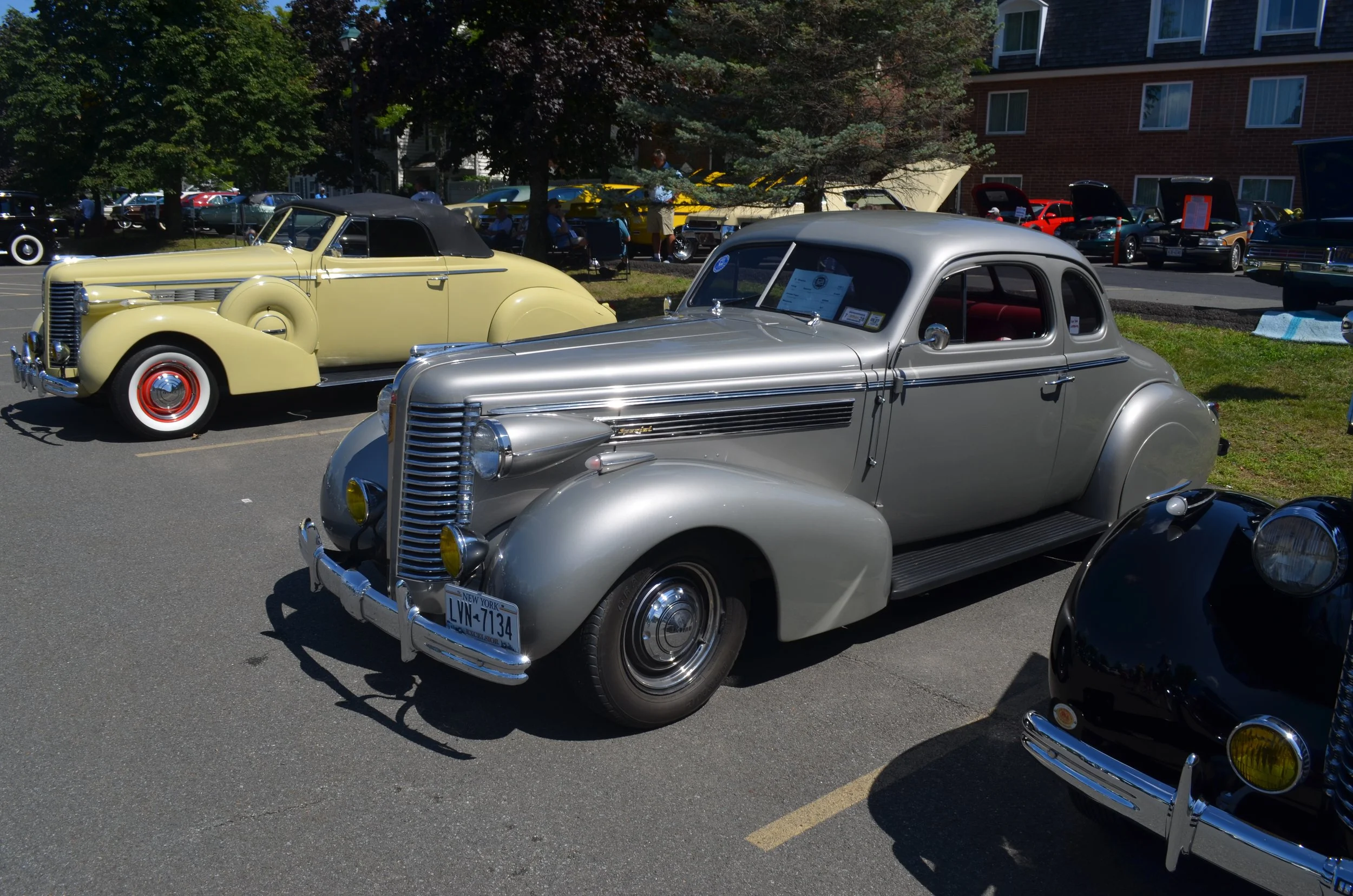 DSC_0984.JPG