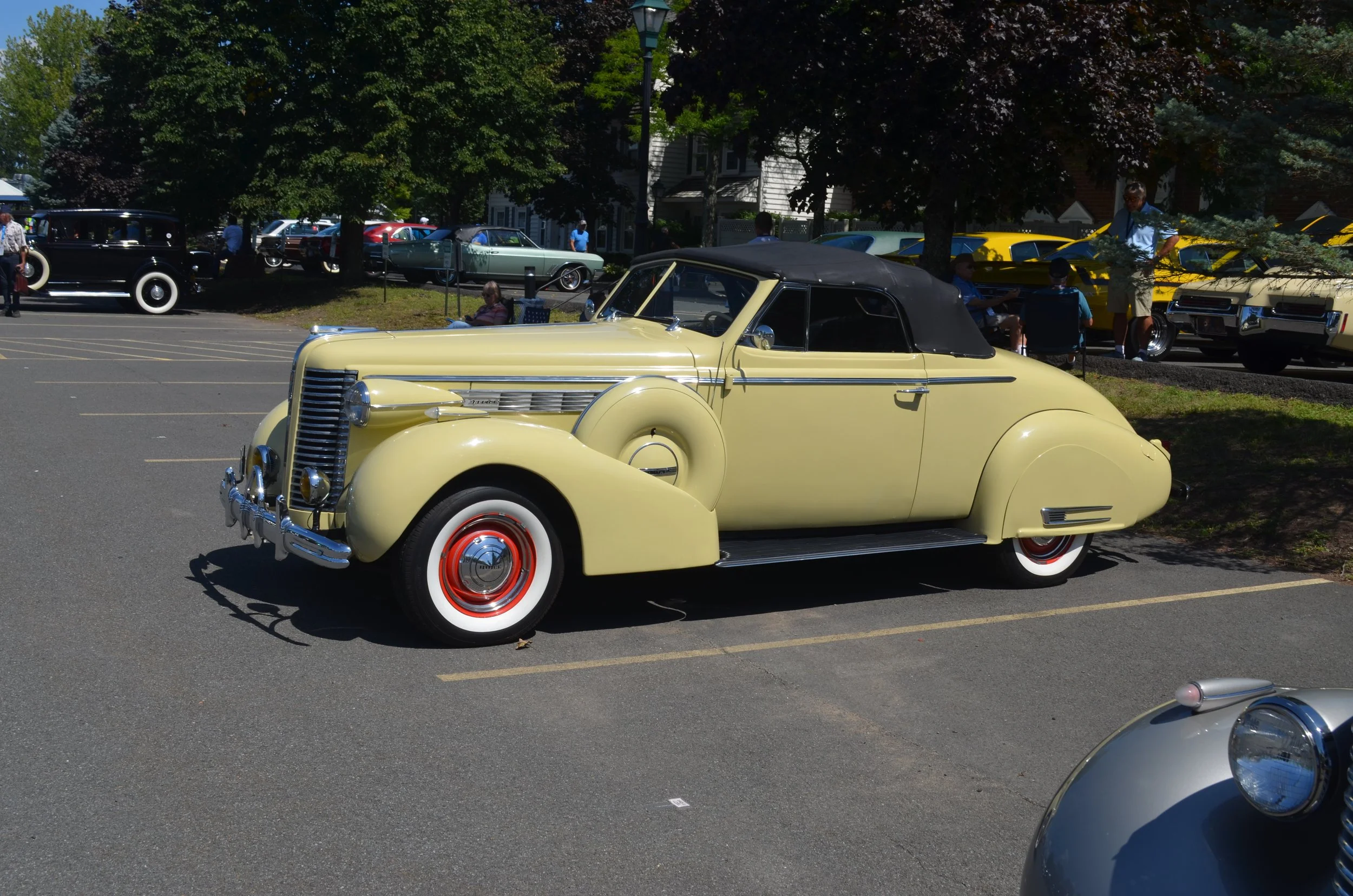 DSC_0985.JPG