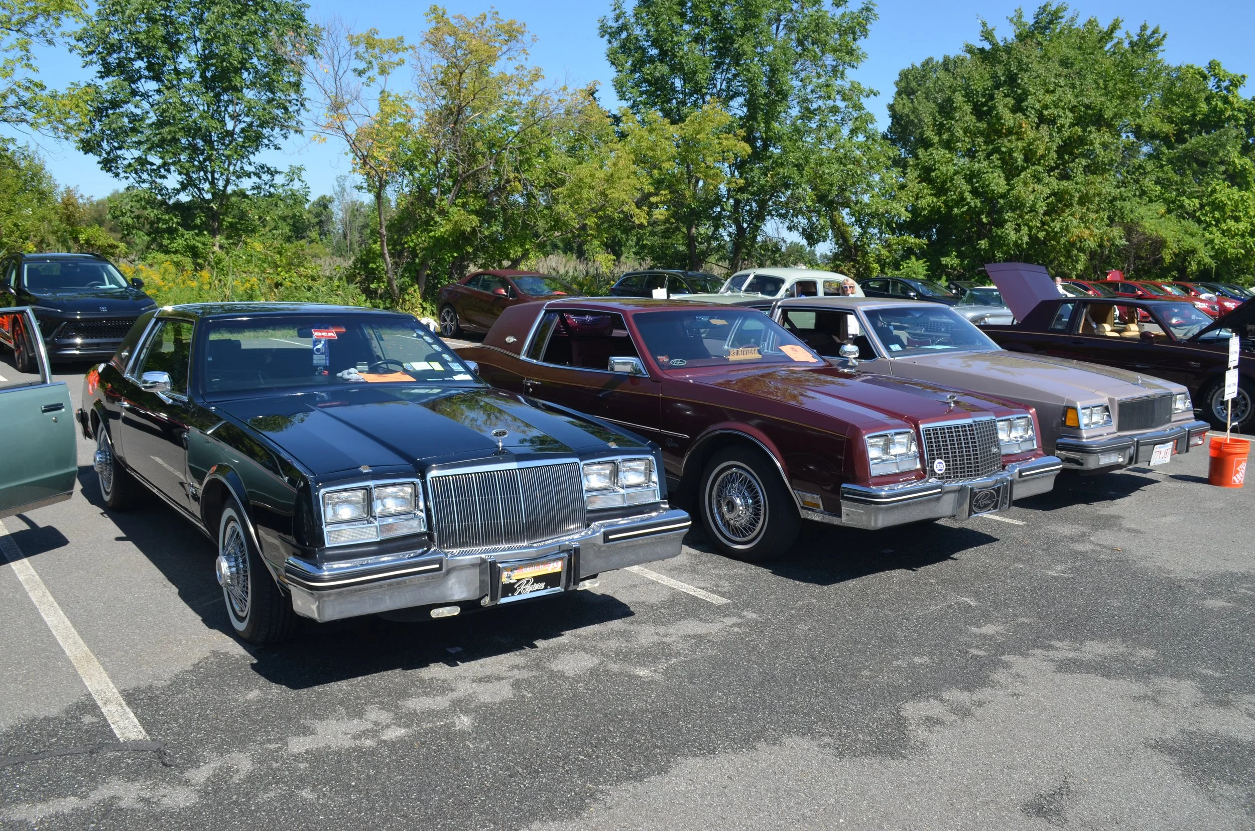 DSC_0884.JPG