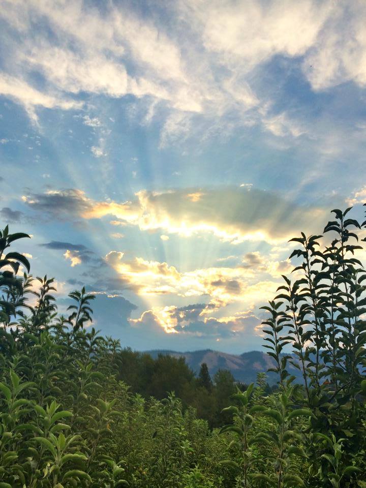 If the heavens do not declare the glory of God, than I do not know what does.